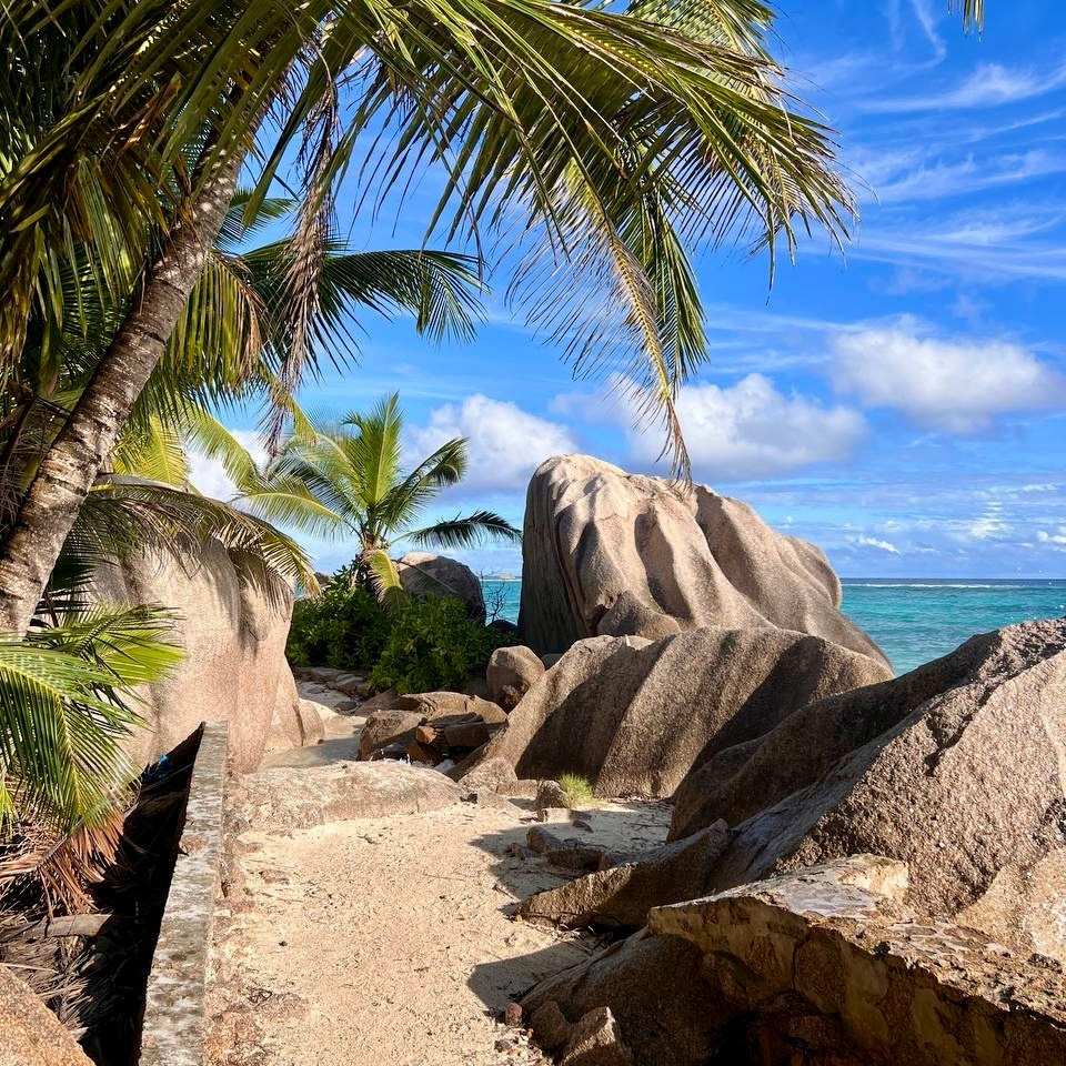 Блог. Happy Sail Круизы на яхте с Михаилом Текучевым