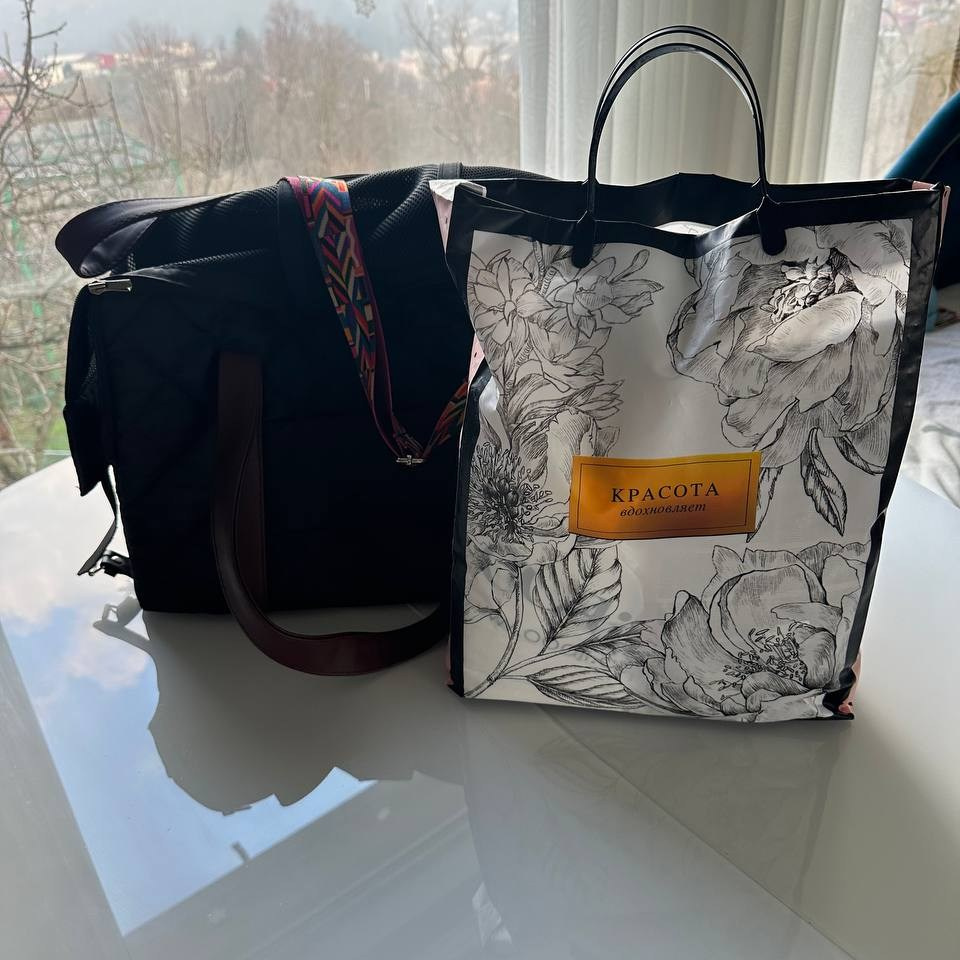 Доставка щенков по всему миру. Профессиональный питомник левреток РКФ/FCI ASTI SAPPHIRE 💎 Сочи|Санкт-Петербург