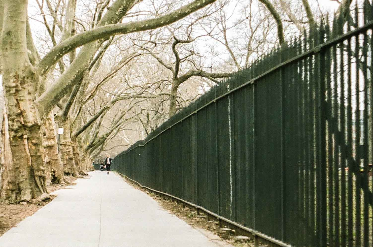 WILLIAMSBURG AS IT WAS. Anna Esquilin Art Photographer