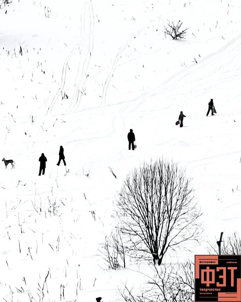 Наталья Переверзева