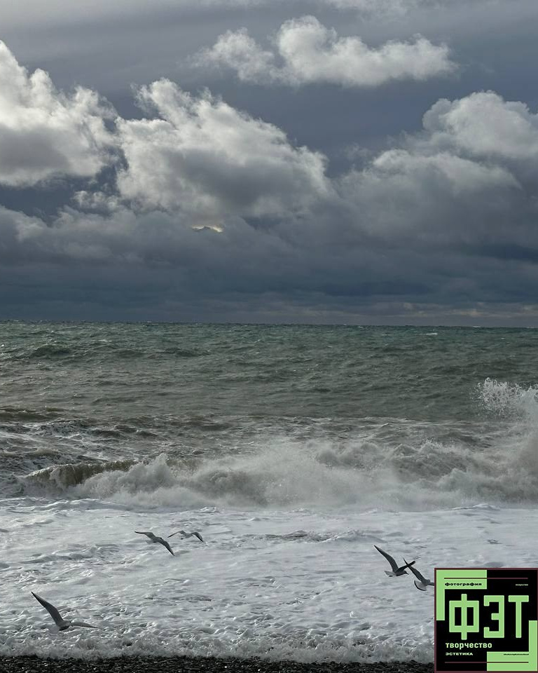 Наталья Переверзева