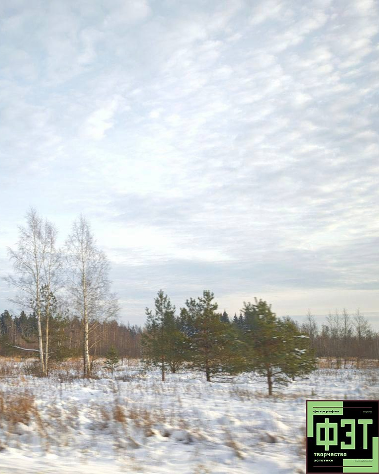 Альбом 18.01.26 проект ФЭТ