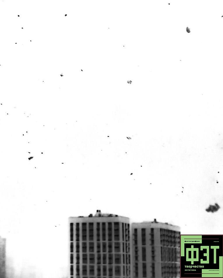 Альбом 18.01.26 проект ФЭТ