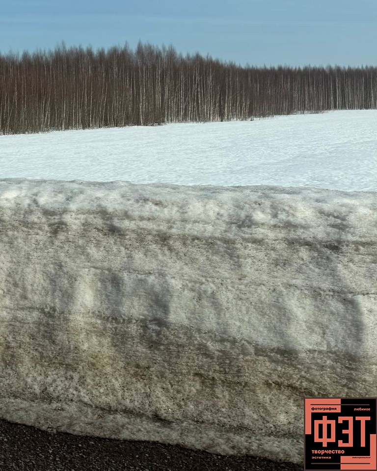 Альбом 29.03.26 в рамках ФЭТ