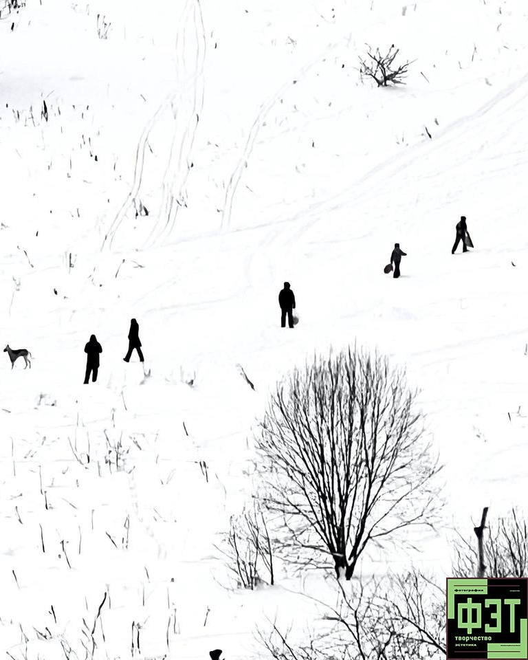 Альбом 15.02.26 в рамках ФЭТ