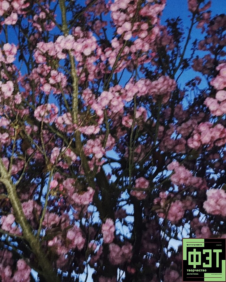 Альбом 12.04.26 в рамках ФЭТ