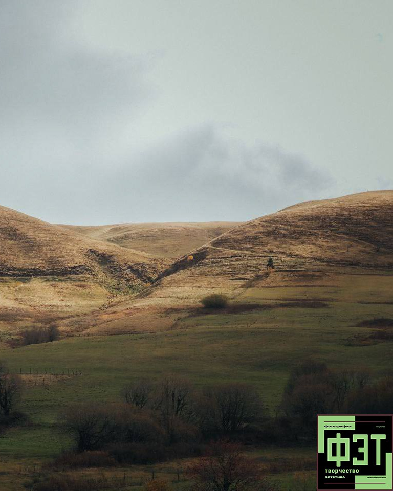 Альбом 01.03.26 в рамках проекта ФЭТ