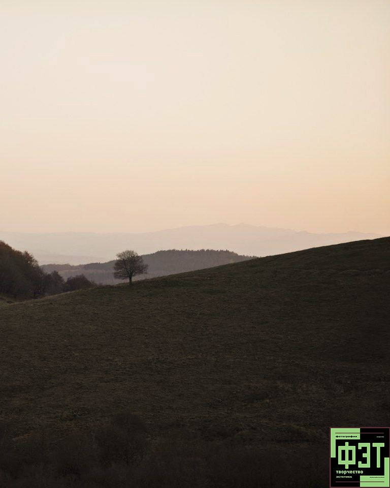 Альбом 15.02.26 в рамках ФЭТ