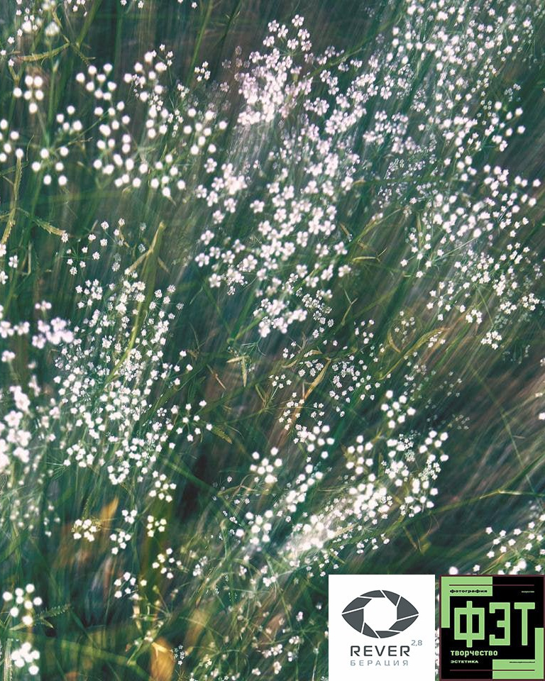 Альбом 07.12.25 проект ФЭТ