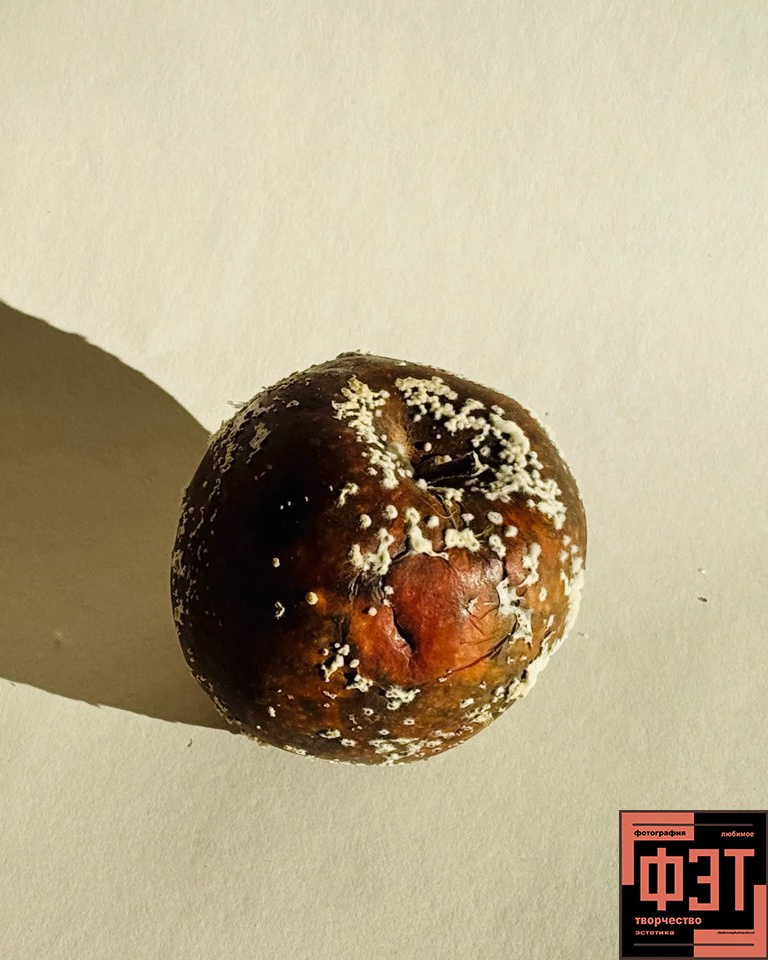 ФЭТ_архив1. Фотошкола Натальи Жуковой