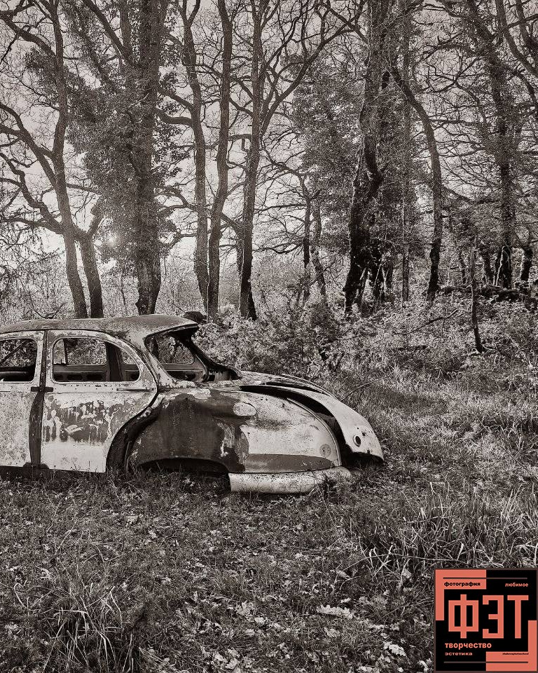 Альбом 05.04.26 в рамках проекта для фотографов ФЭТ