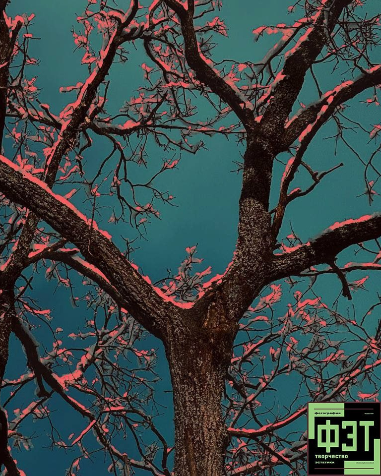 Наталья Переверзева