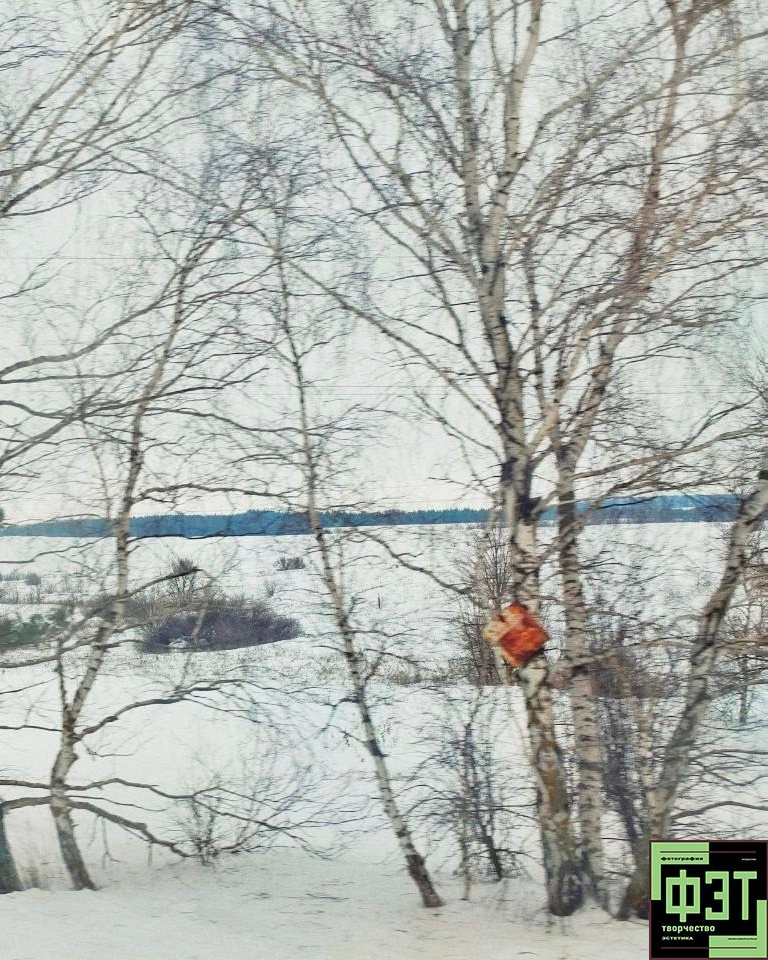 Наталья Переверзева