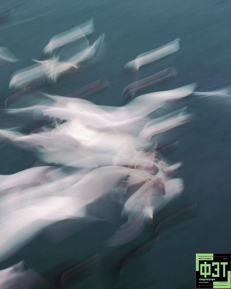 Альбом 15.02.26 в рамках ФЭТ