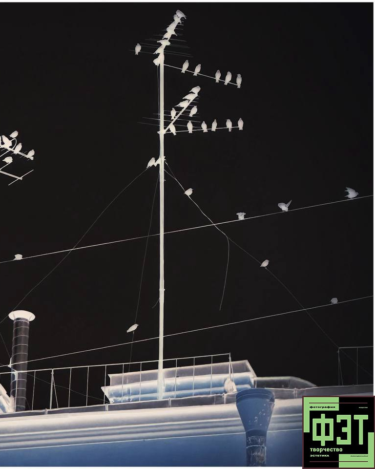 Альбом 05.04.26 в рамках проекта для фотографов ФЭТ