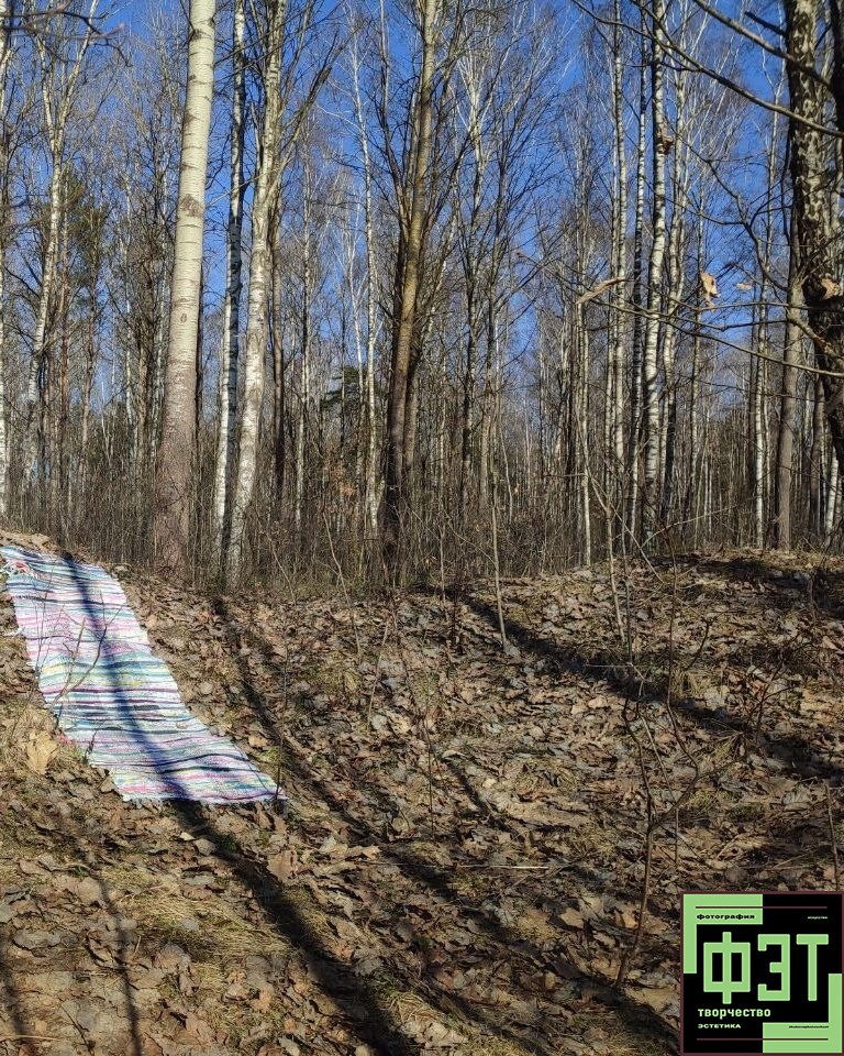 Альбом 29.03.26 в рамках ФЭТ