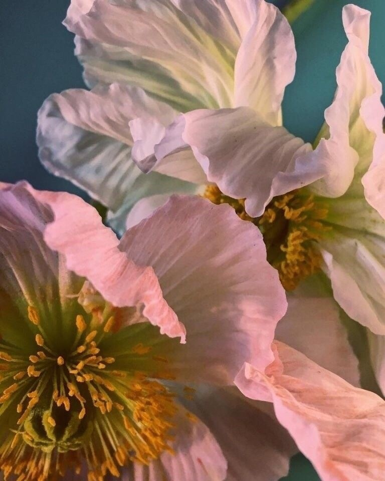 Приглашение на свадьбу