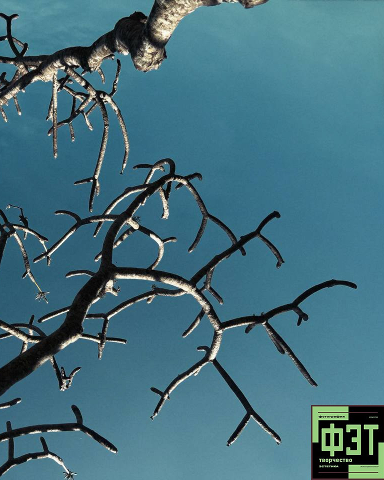 Наталья Переверзева