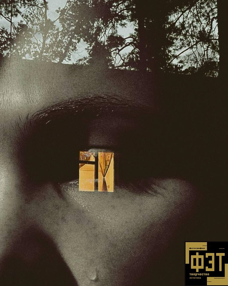 Выбор зрителей 14.12.25