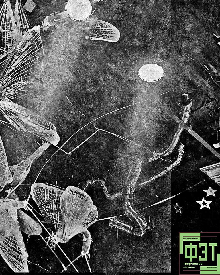 Альбом 21.12.25 проект ФЭТ