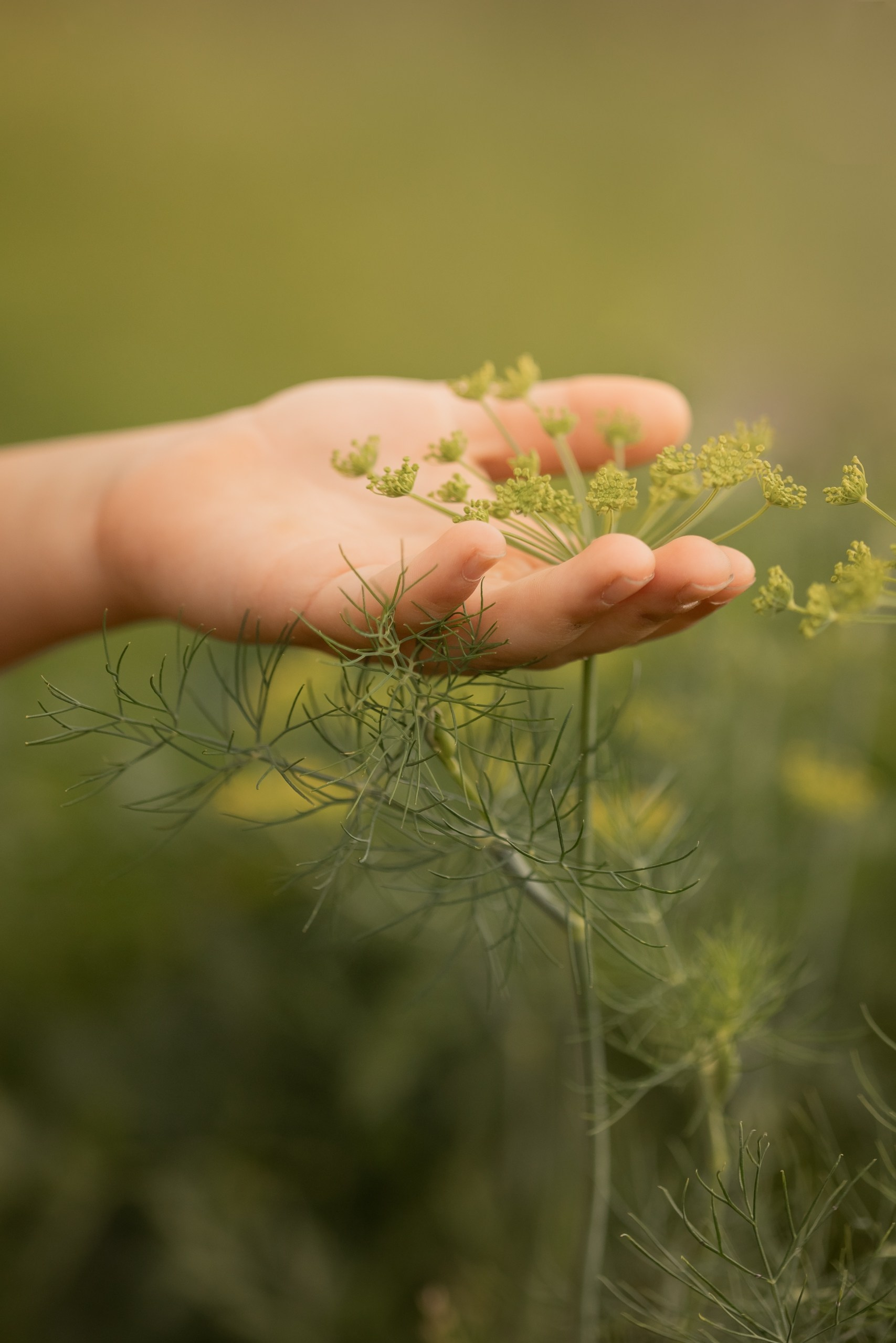 31 августа. Семейный фотограф в Калининграде Надежда Гриднева