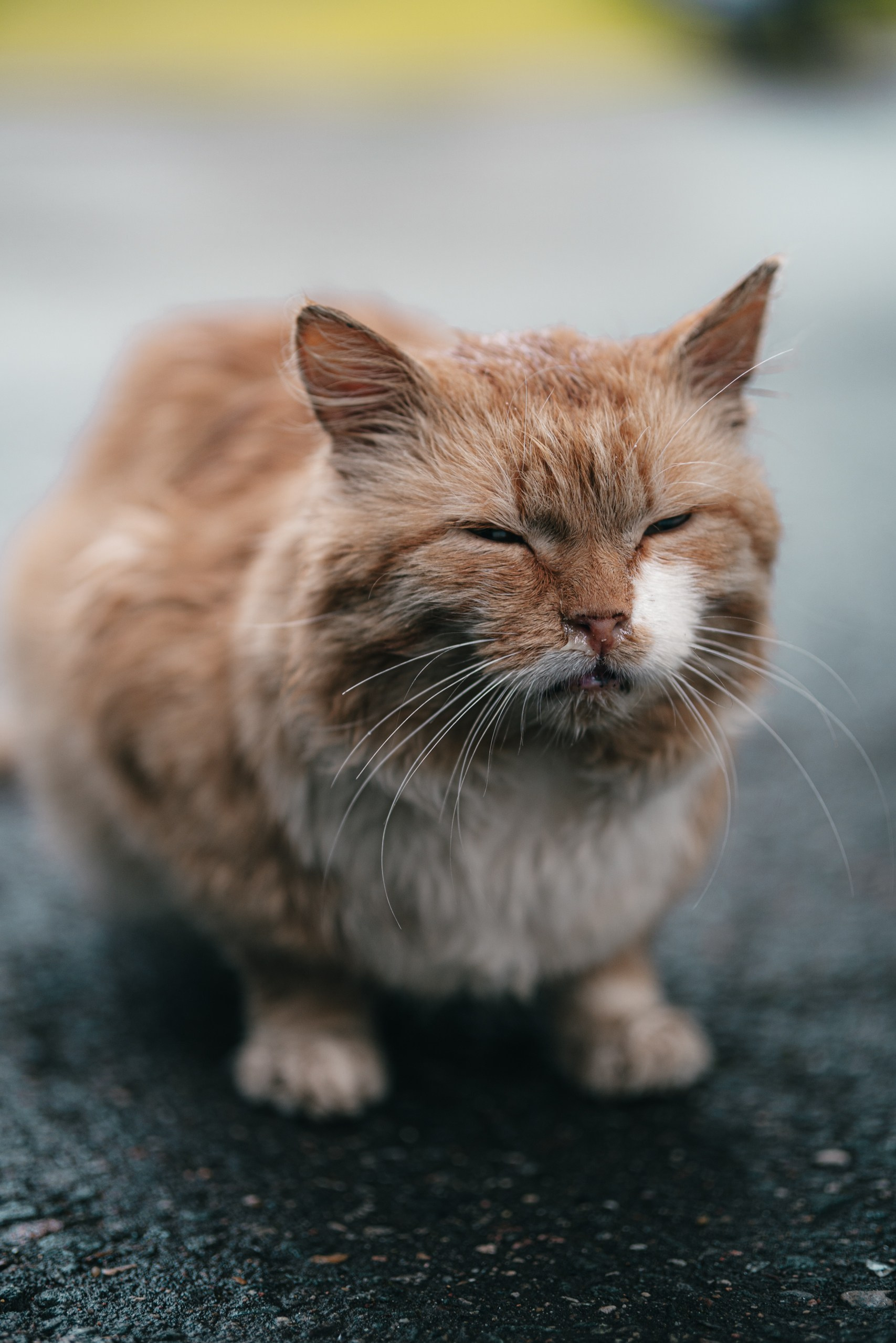 Летняя психологическая школа МГУ 2025. Саватейкин Ярослав | Портретный фотограф в Москве