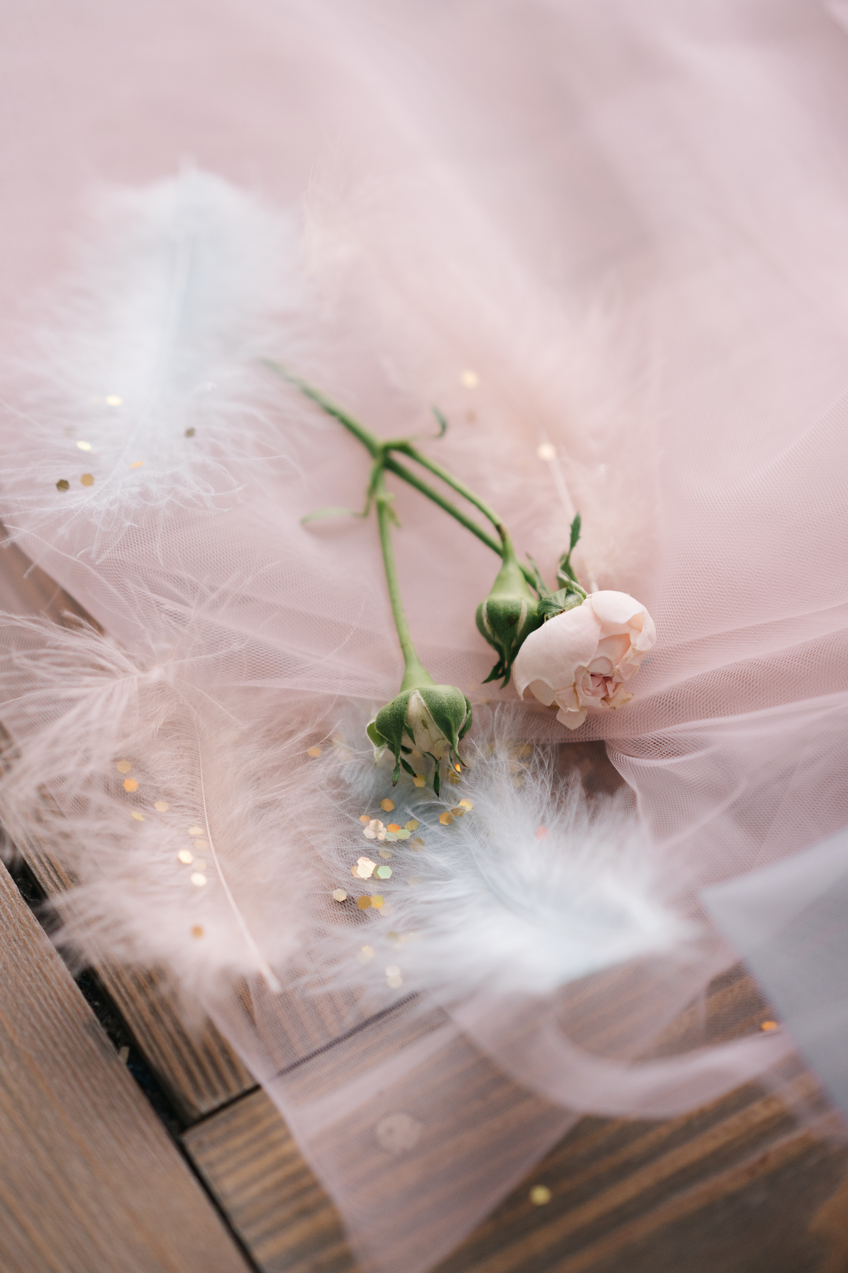 Стоимость услуг. Жить в кадре, а не позировать!