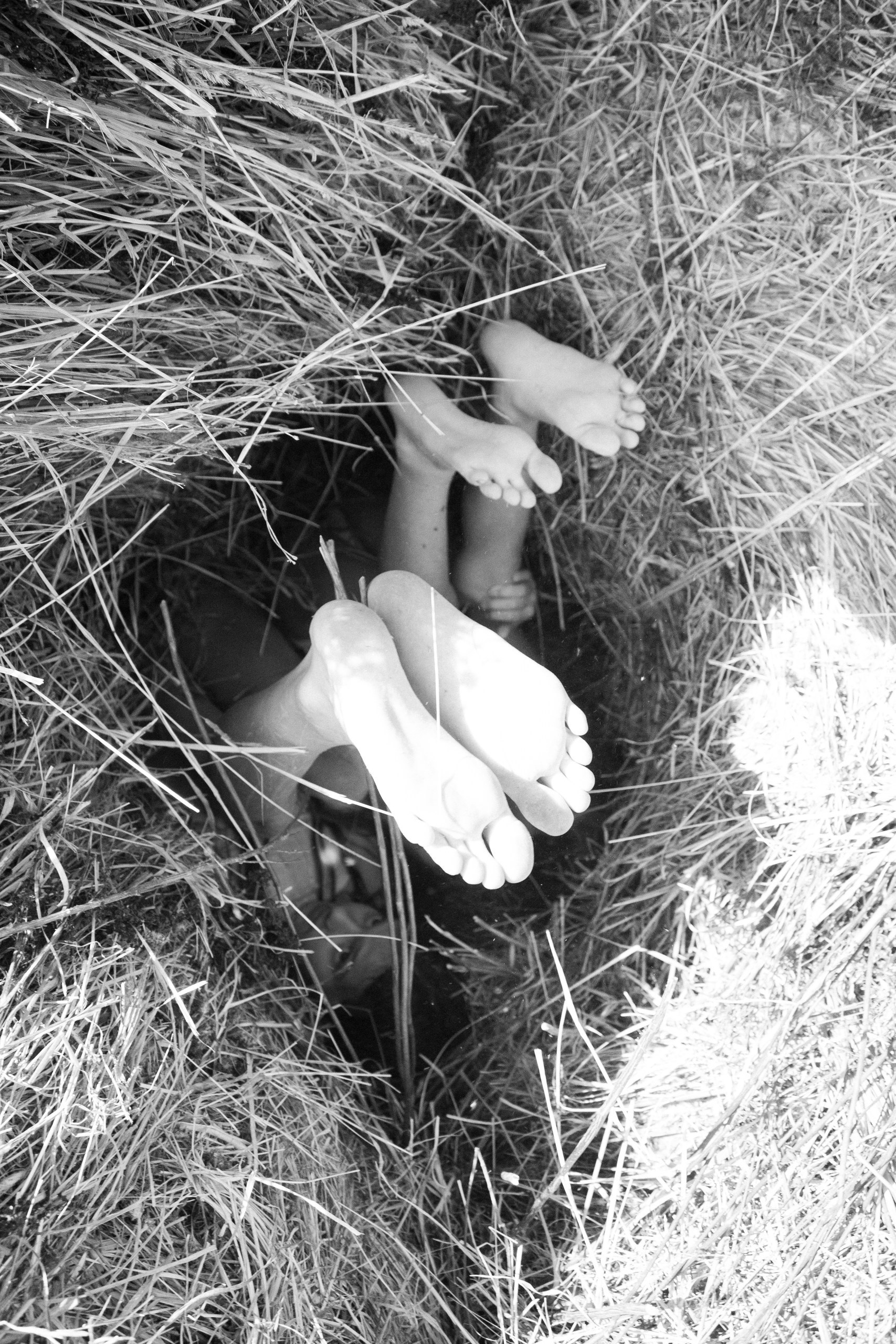 «Где живет лето». Арт-ню фотограф, Фотохудожник в Москве Анна Форс