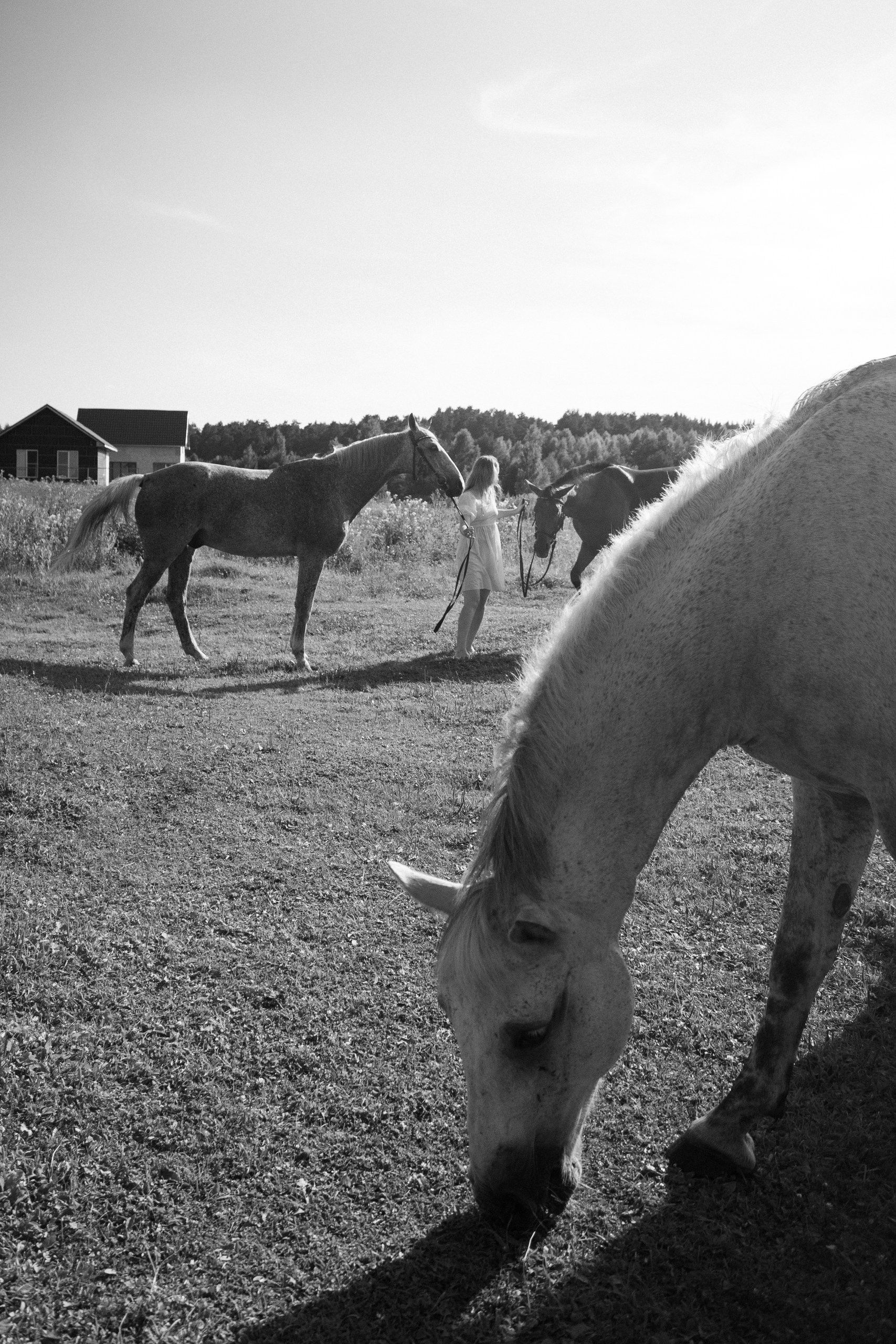 «Доверие без слов». Арт-ню фотограф, Фотохудожник в Москве Анна Форс