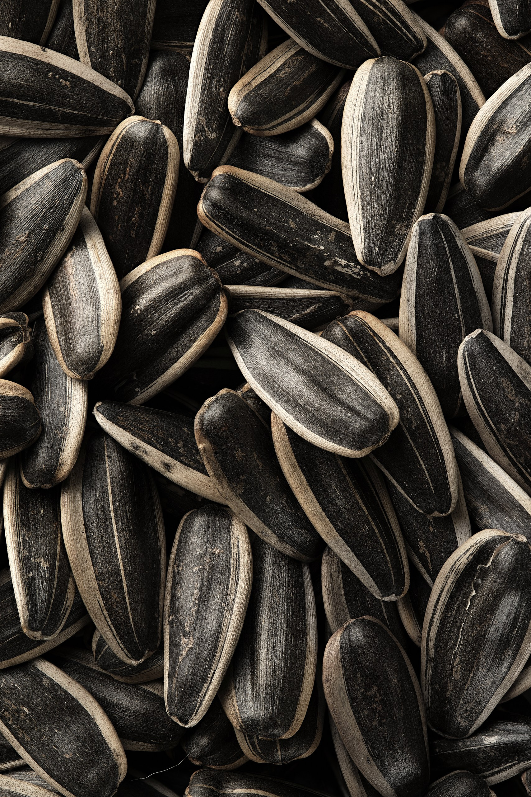 Крупный план подсолнечных семечек для продуктовой фотосъёмки бренда Ермак