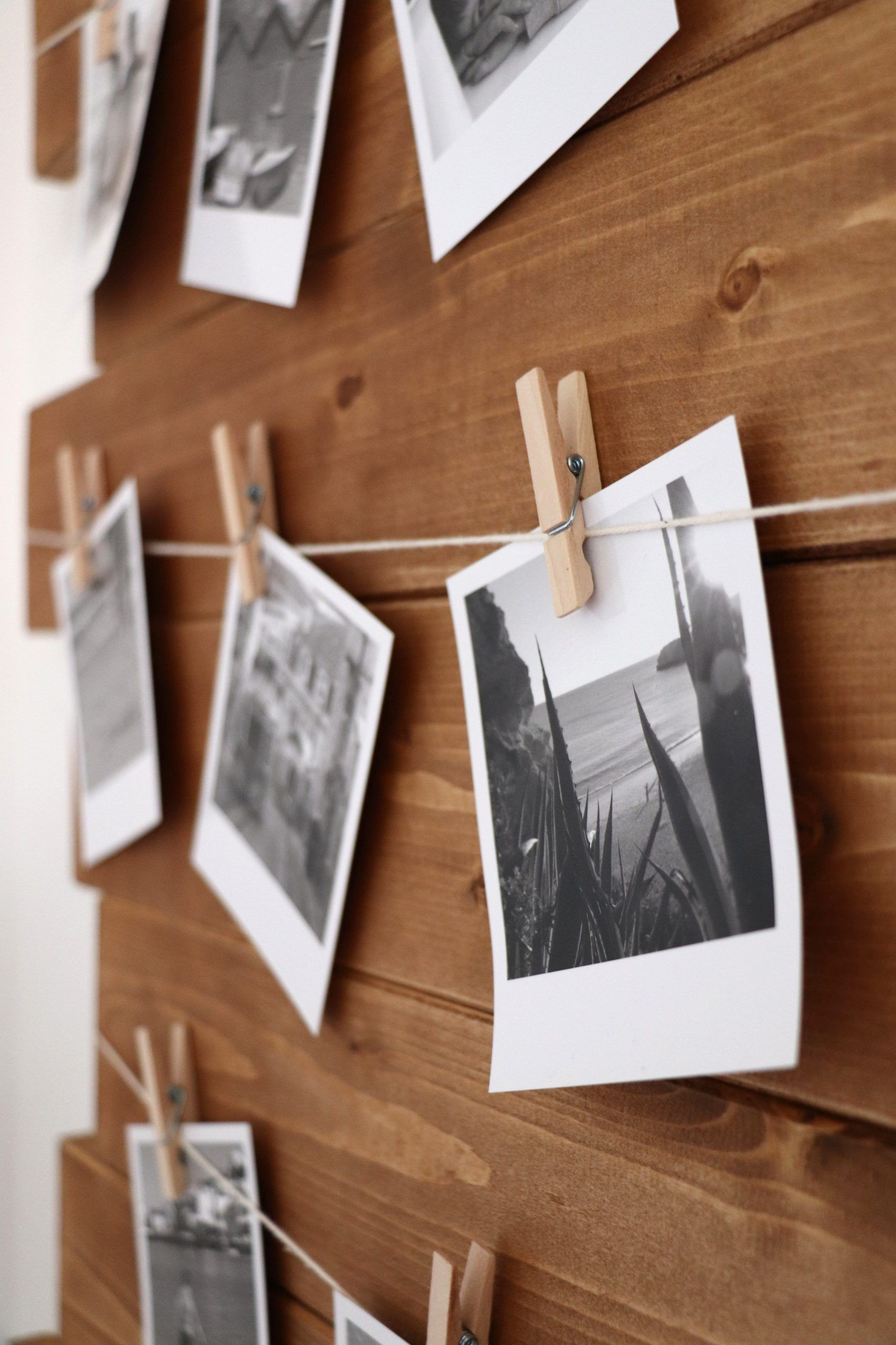 Контакты. Фотограф Марина Семенова г. Владивосток