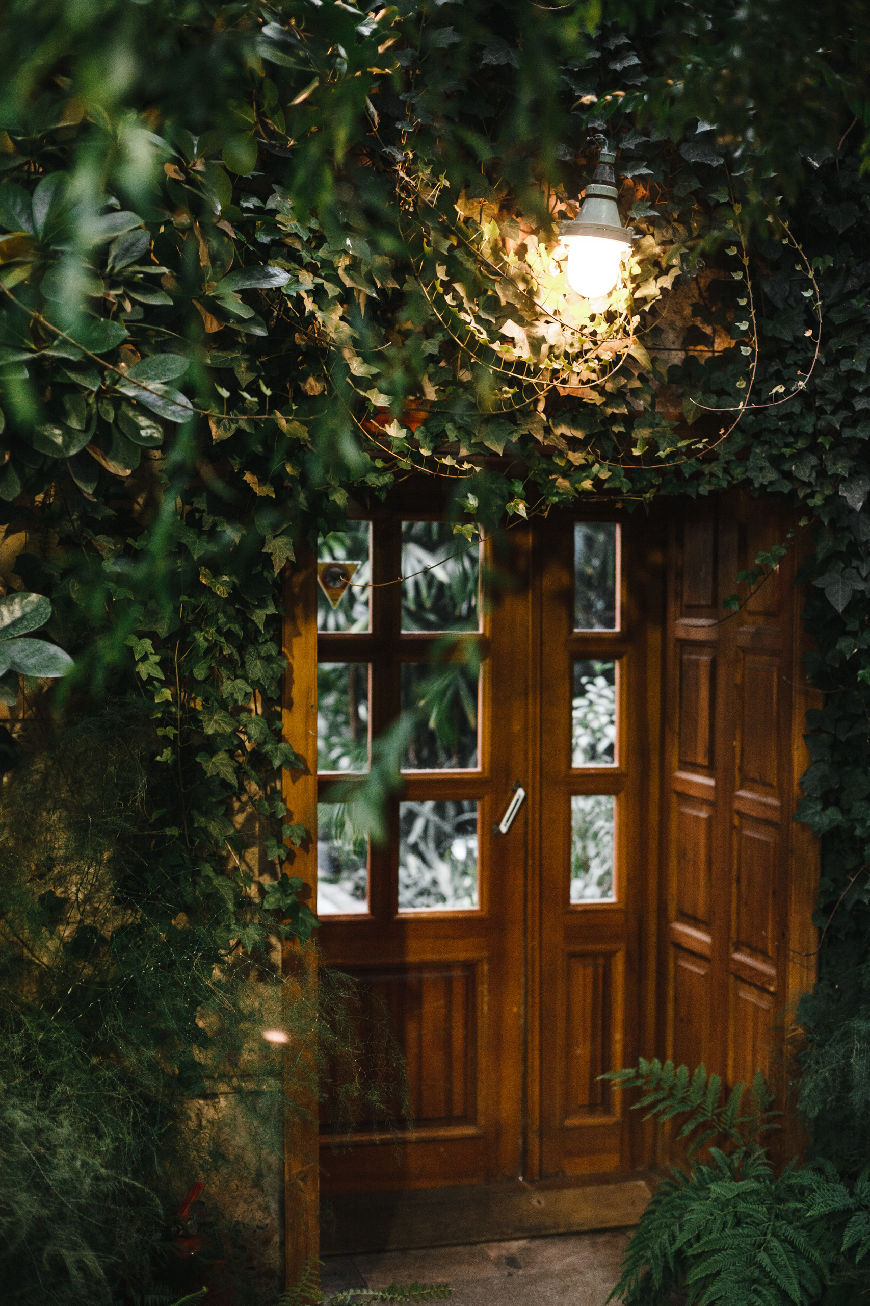 Прогулка в Сибирском Ботаническом саду ТГУ. Евгения Орлова