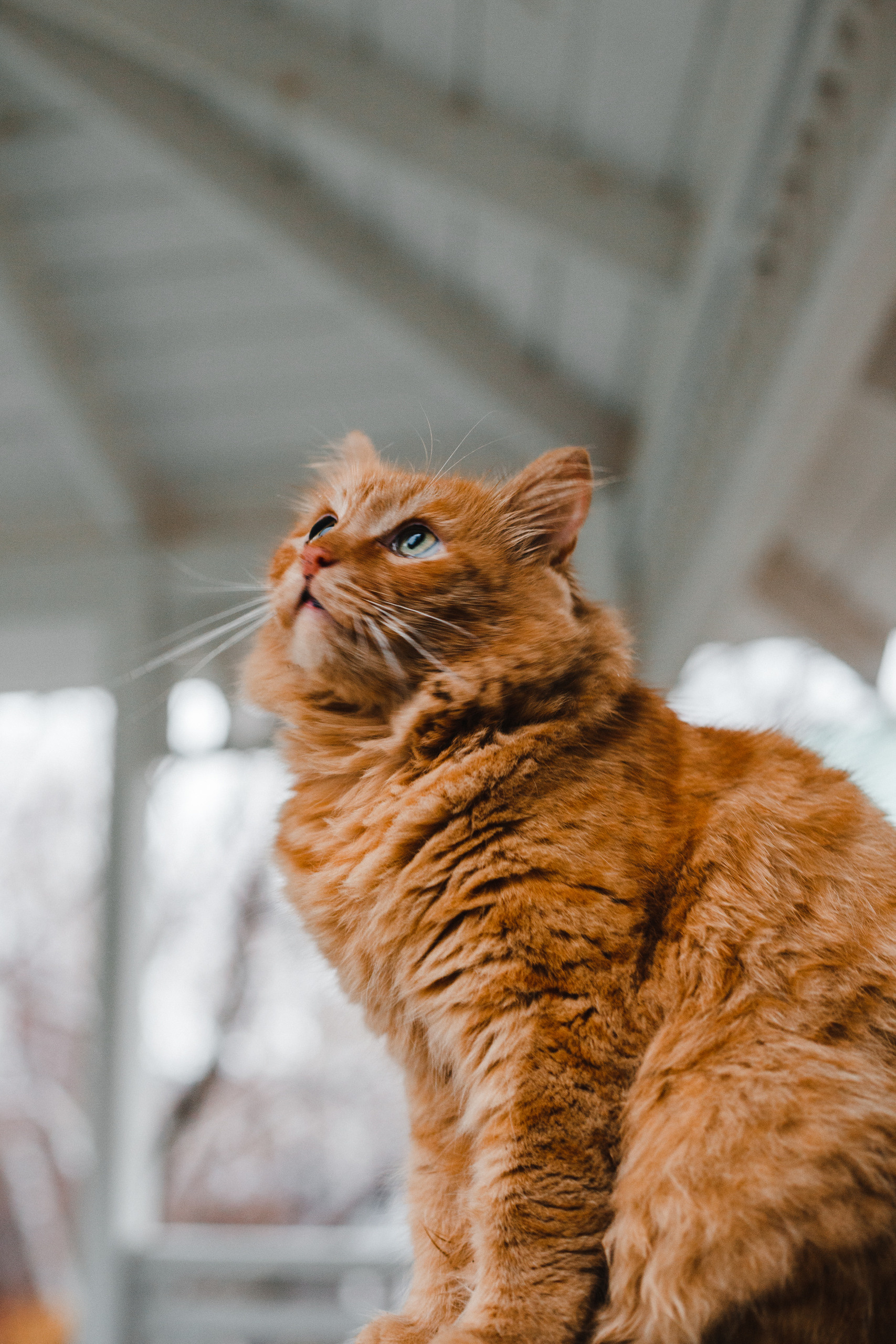 Прогулка в Сибирском Ботаническом саду ТГУ. Евгения Орлова