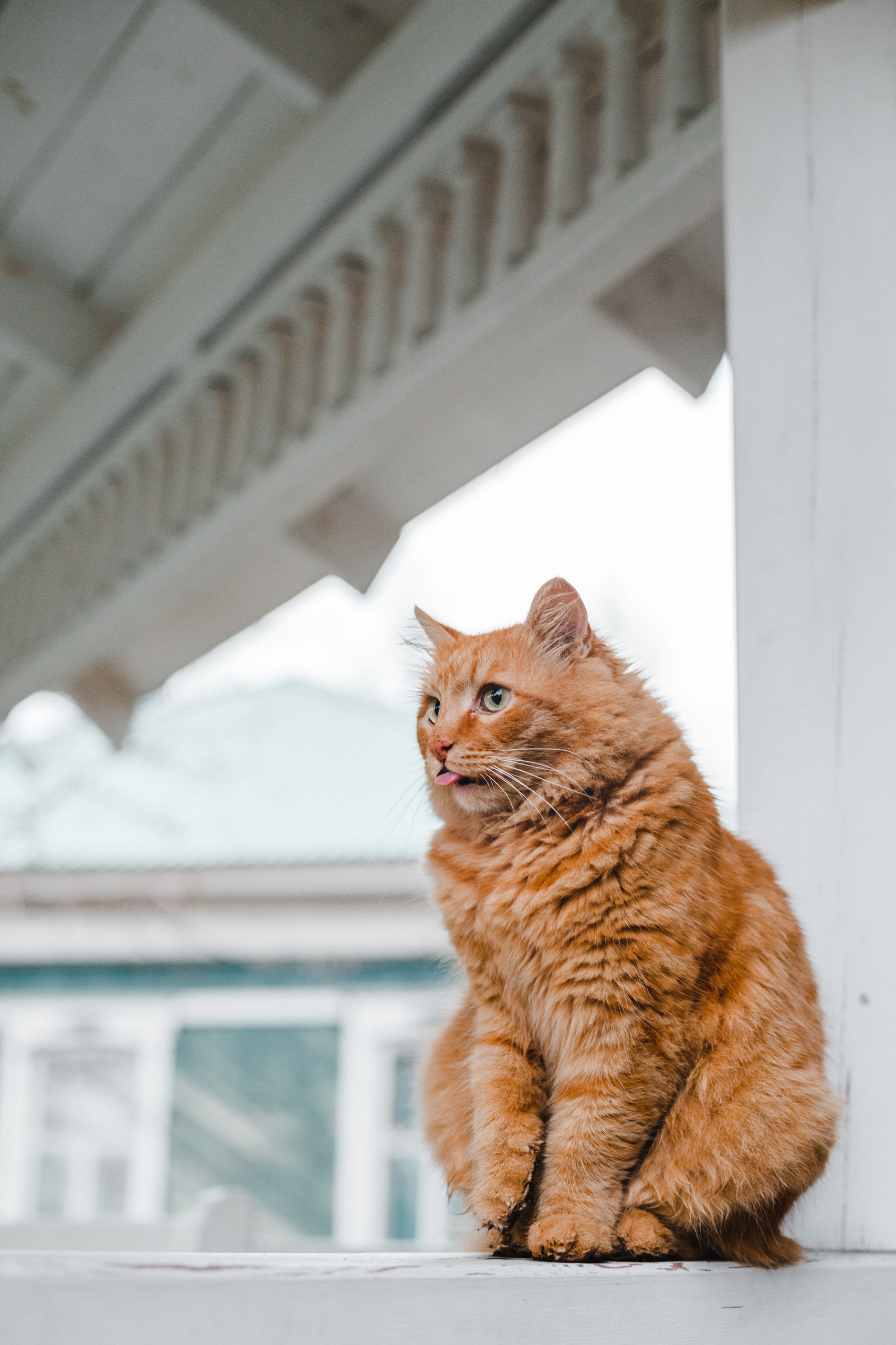 Прогулка в Сибирском Ботаническом саду ТГУ. Евгения Орлова