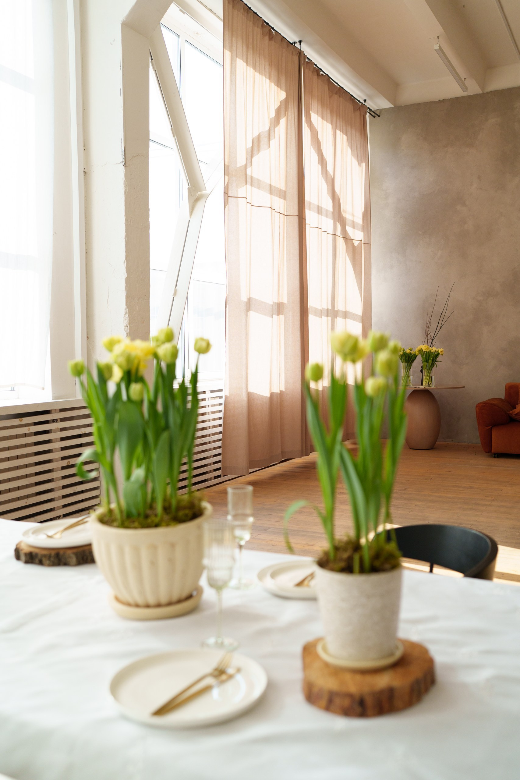 АНОНС ЦВЕТЕНИЯ