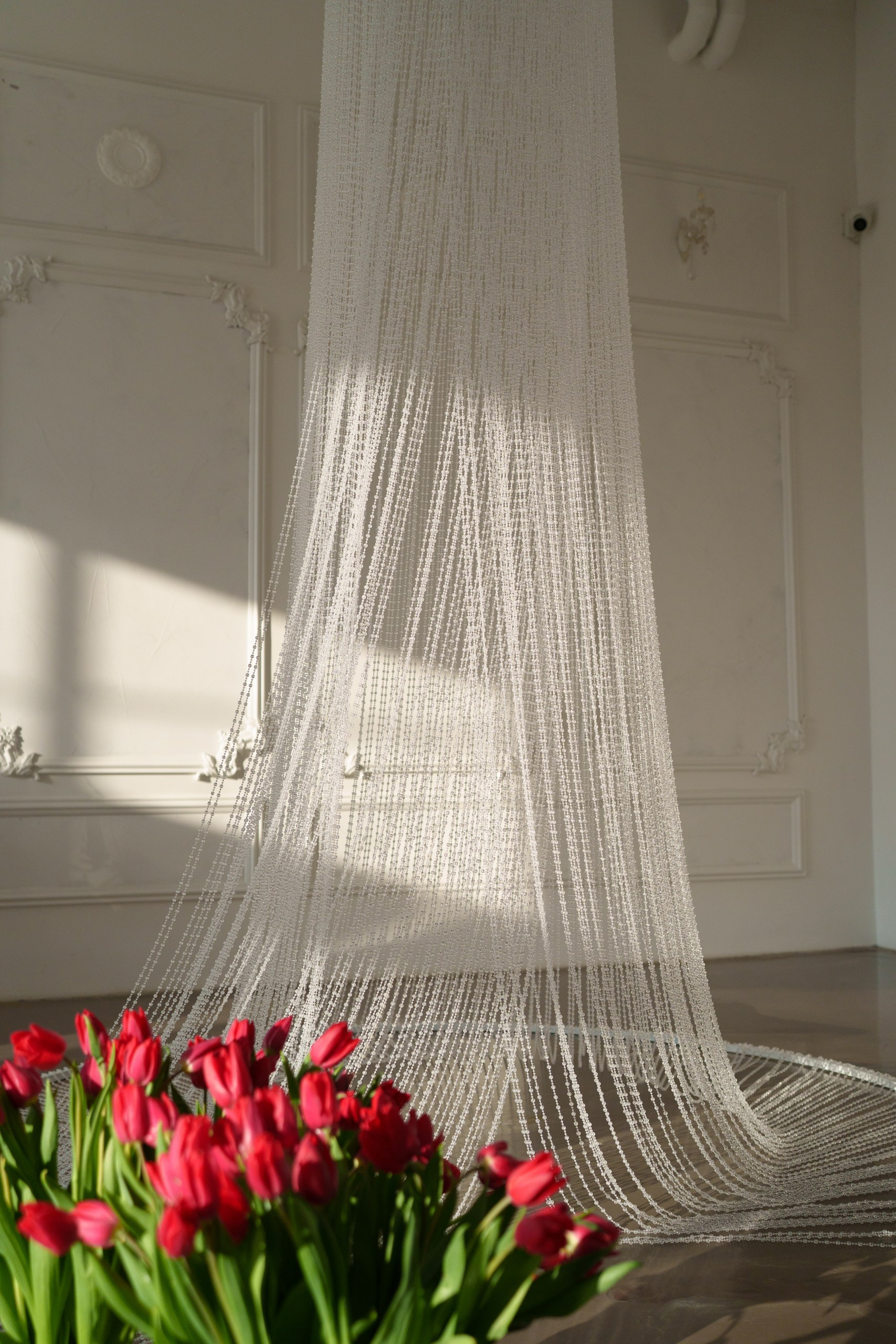 АНОНС ЦВЕТЕНИЯ