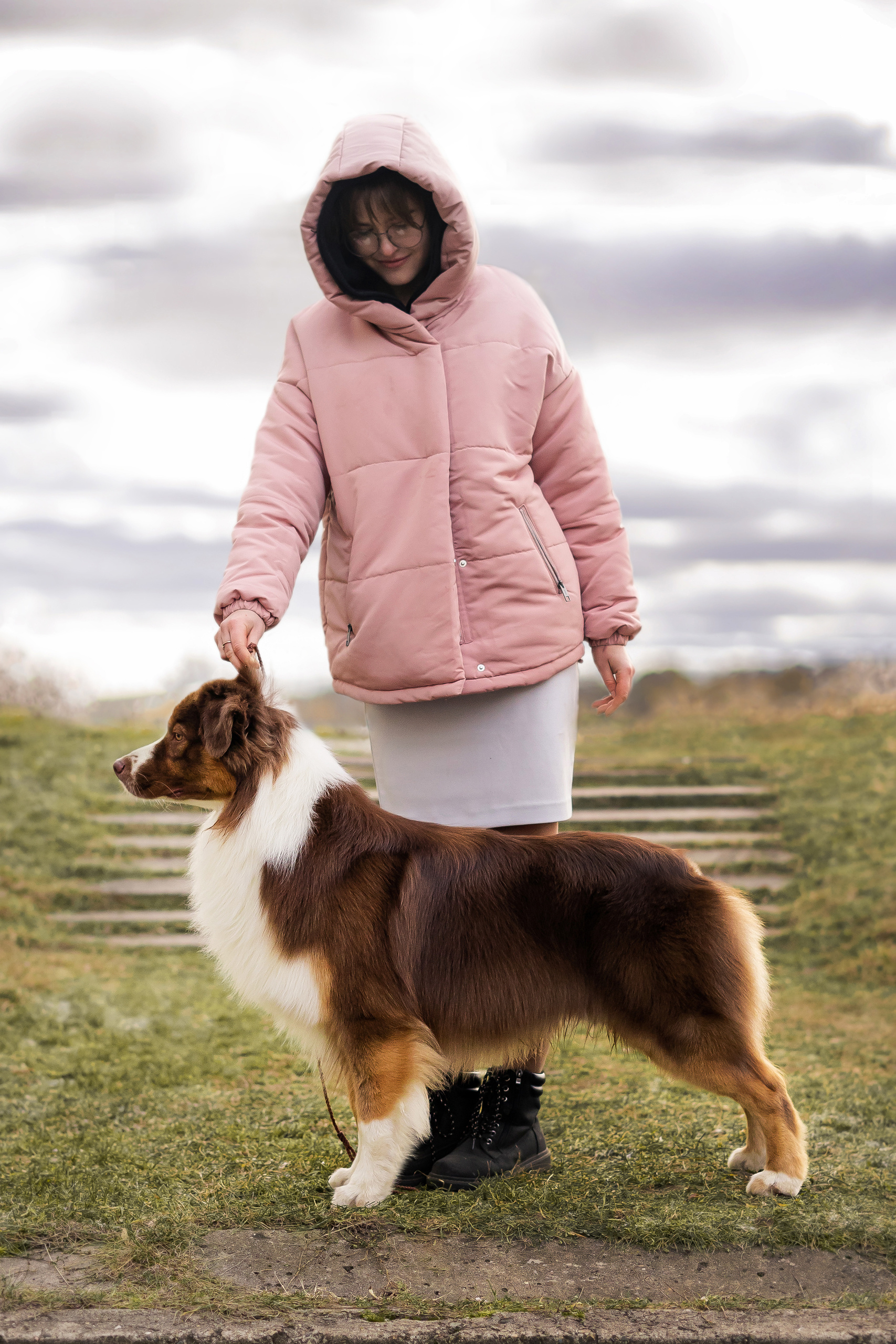 ДАРК. Питомник австралийских овчарок «APPLEDORE»