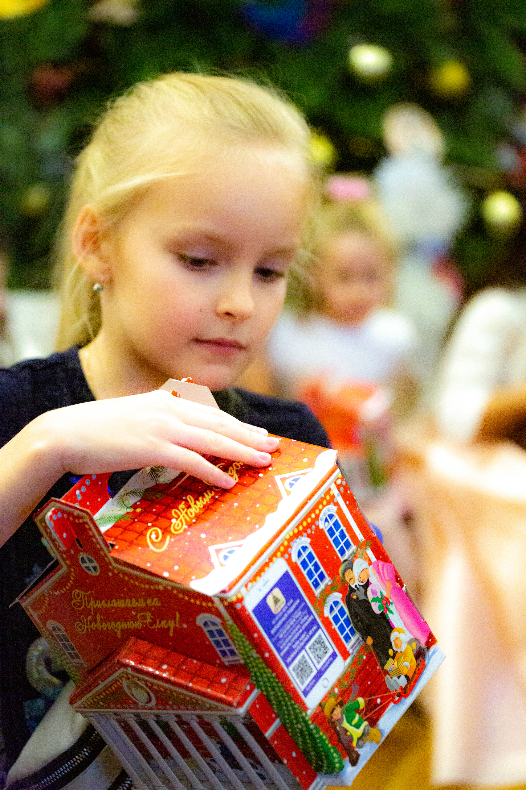 Услуги. Фотограф в Сочи Юрий Шептаев