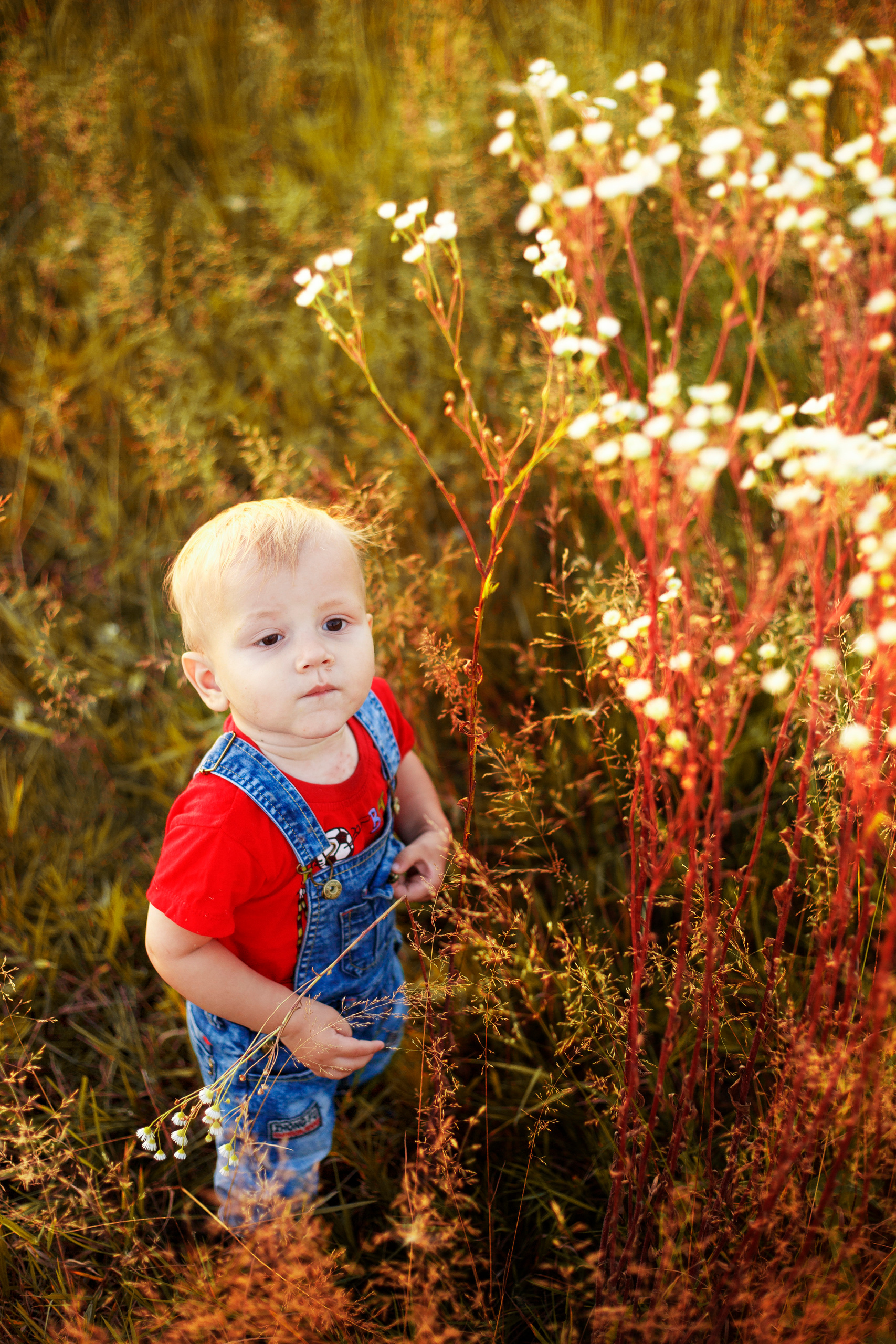 Блог свадебного и семейного фотографа в г. Тейково. Олеся Ефанова фотограф Иваново, Тейково и Плёс