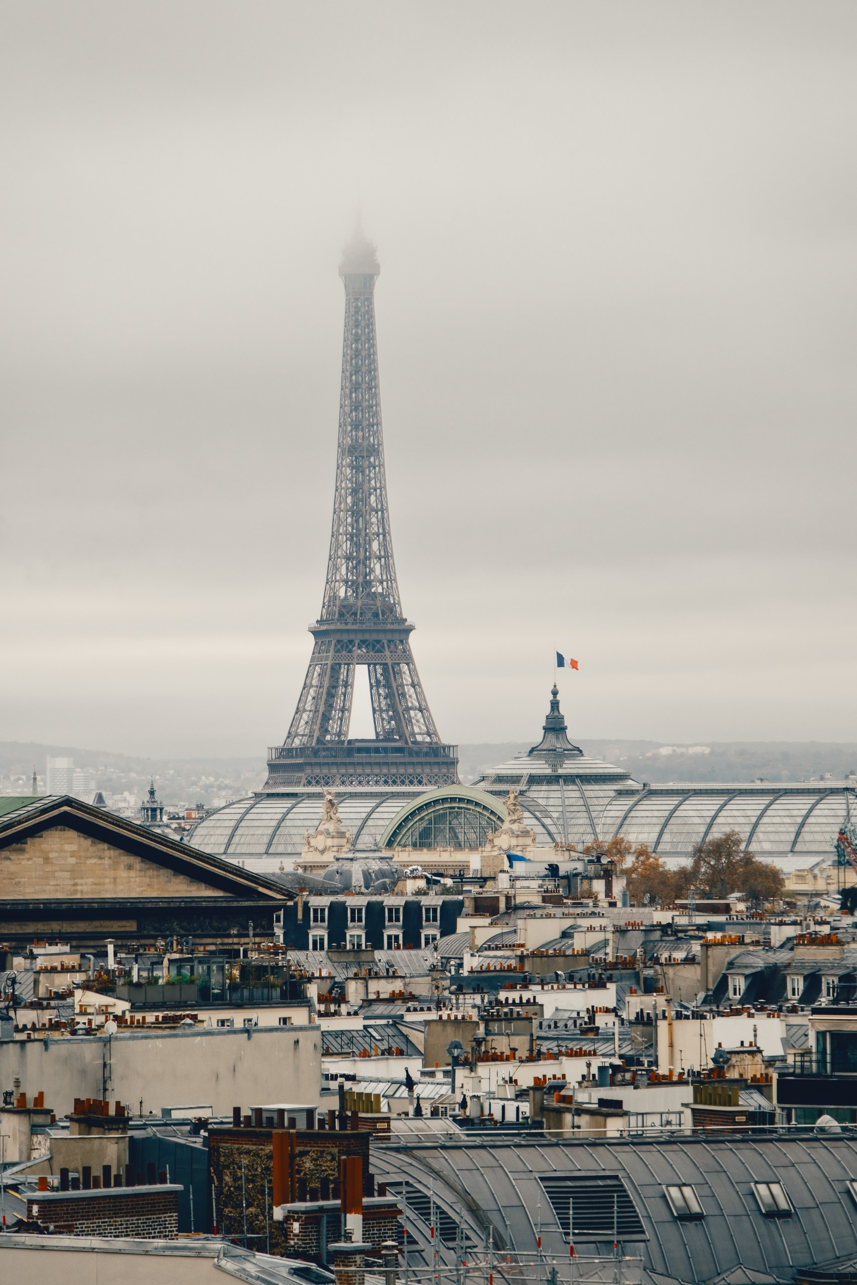 Европа (ноябрь 2025). Фотограф в Москве
