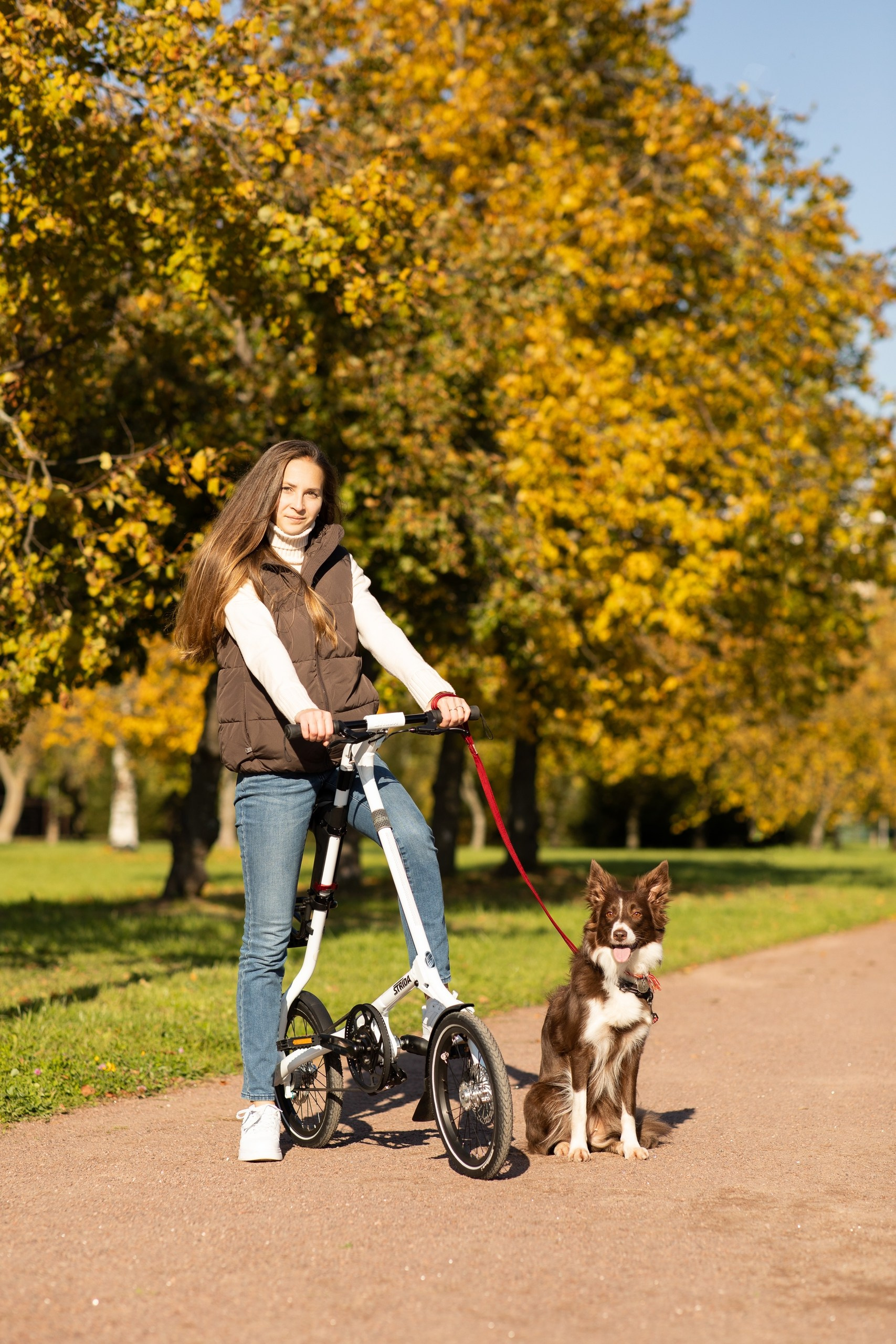 Контакты. Фотограф-анималист Виктория Симонова. СПб