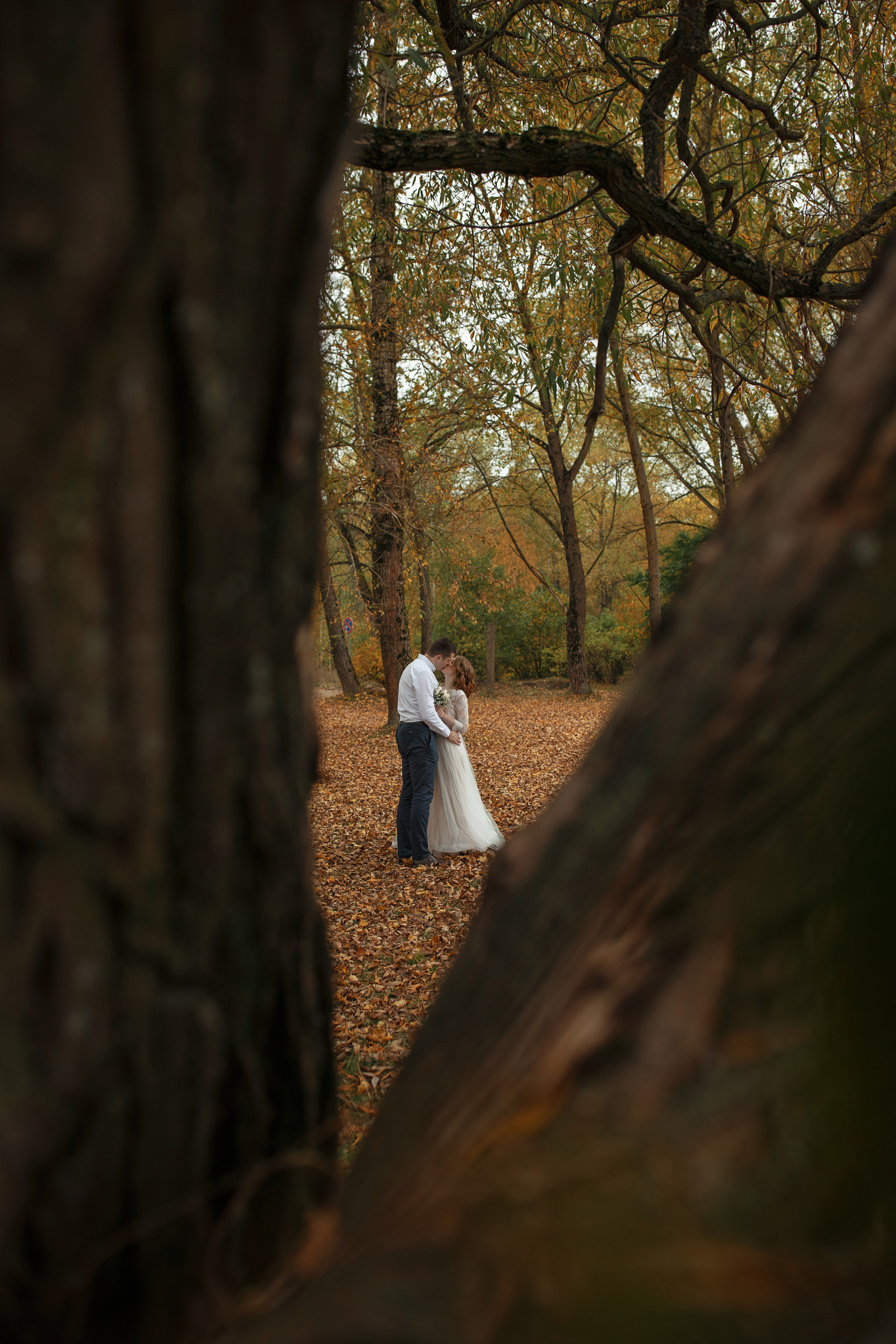 Свадебная прогулка красивой пары на берегу озера