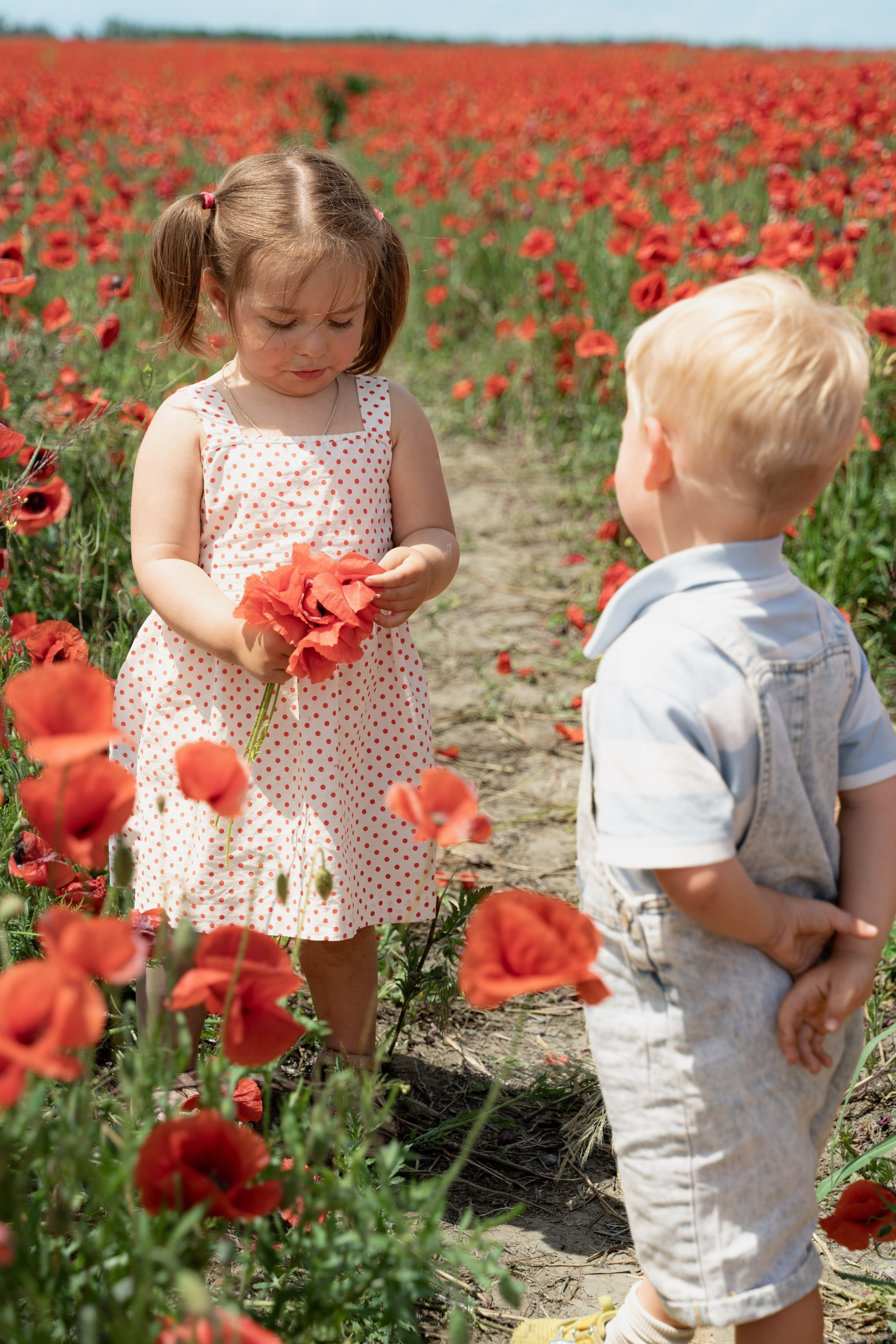 Вопросы. Фотограф в Анапе Динара Шеви