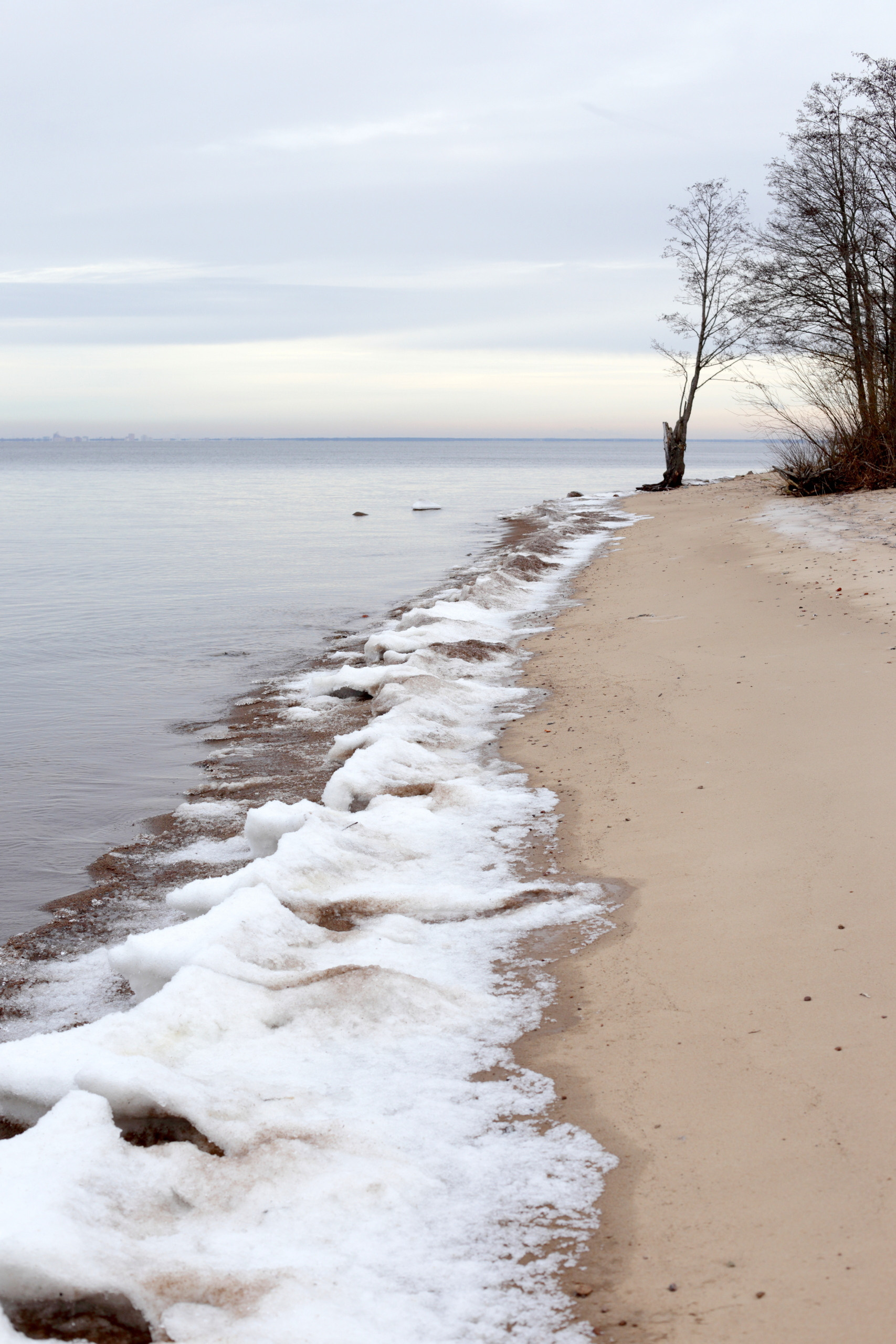 Black Stripe. Ekaterina Vasilyeva photographer