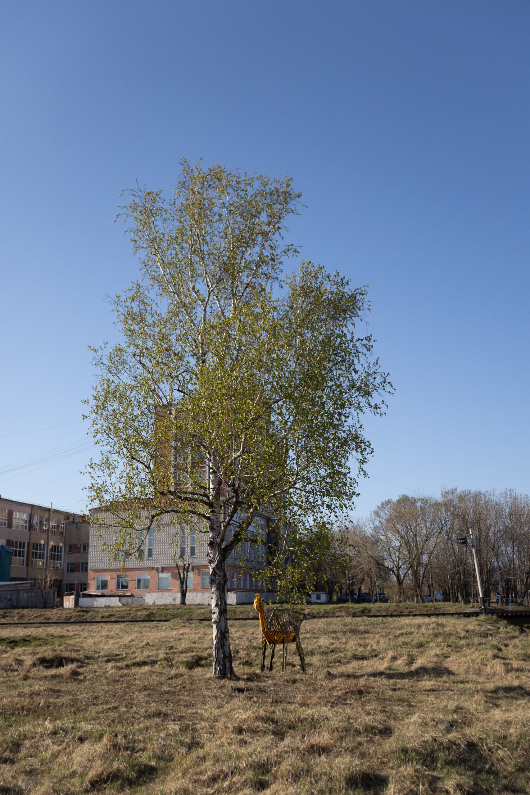 Виктория. Художник Рыбак Николай