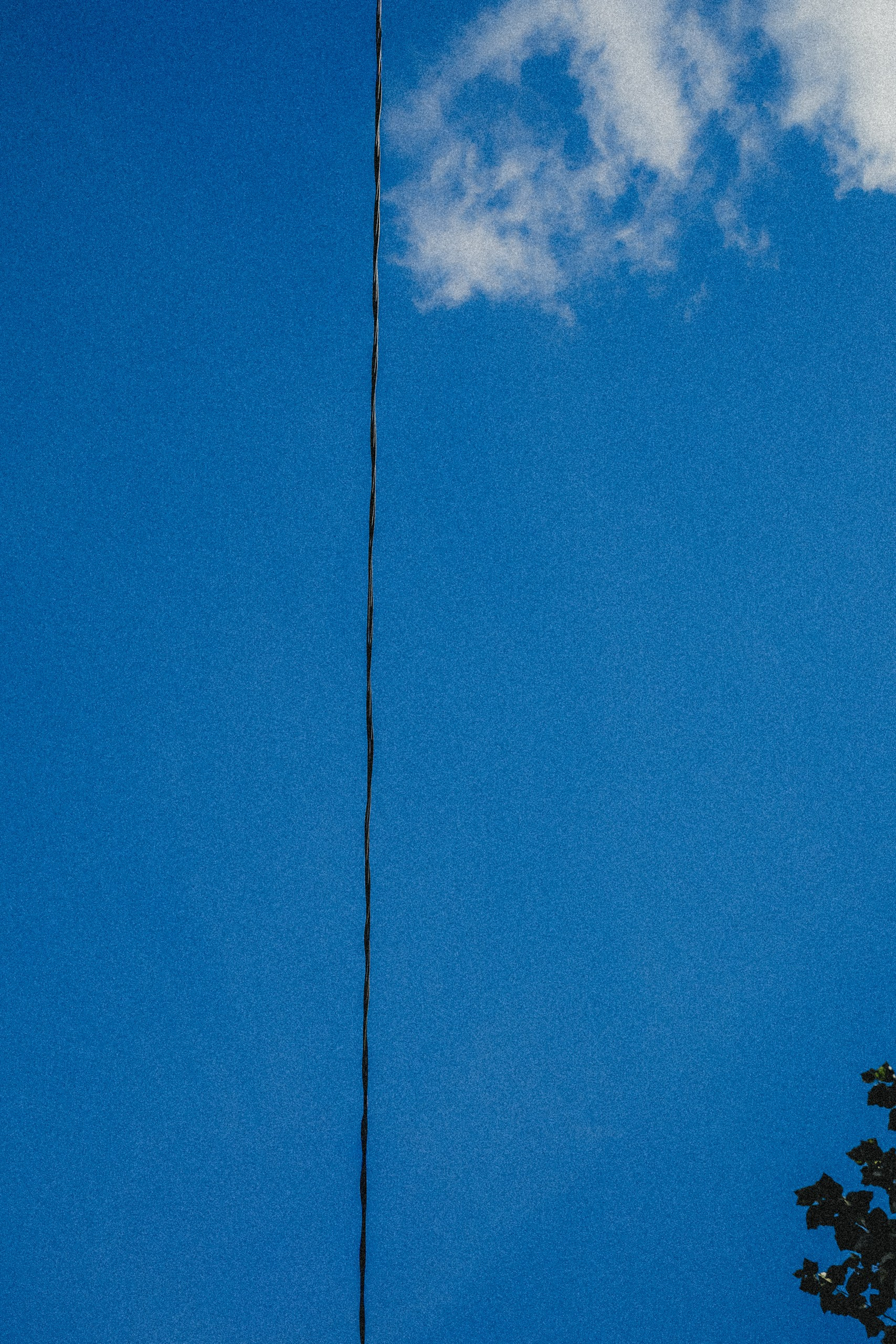 Фотограф Ваня Бархатов