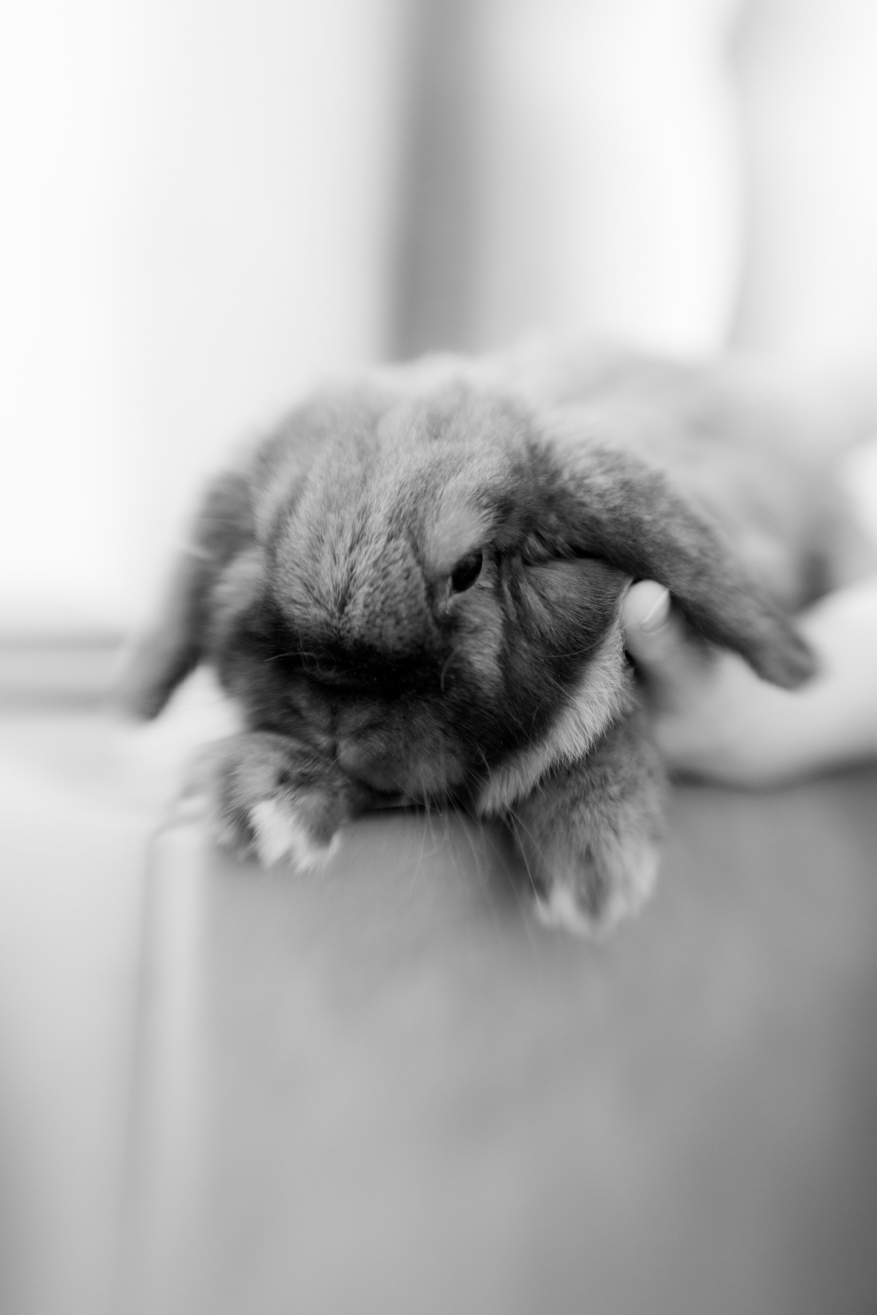 Услуги. Фотограф в Нефтеюганске