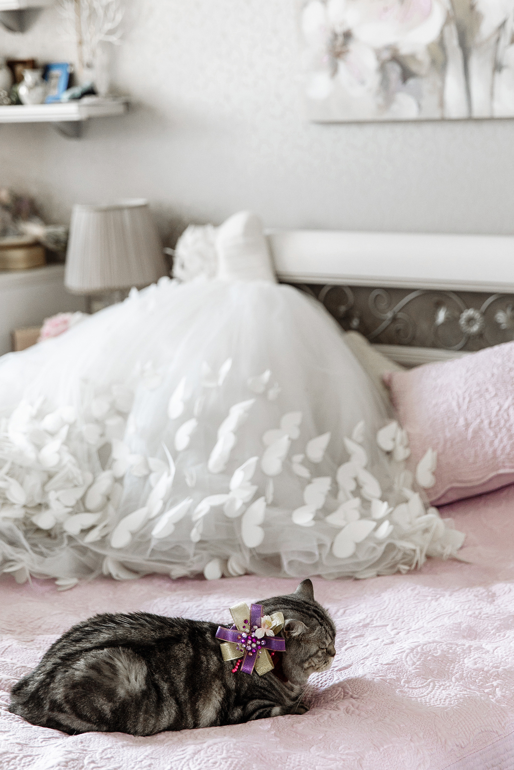 27 июля 2019. Анонс свадьбы. Фотограф Игорь Цаплин