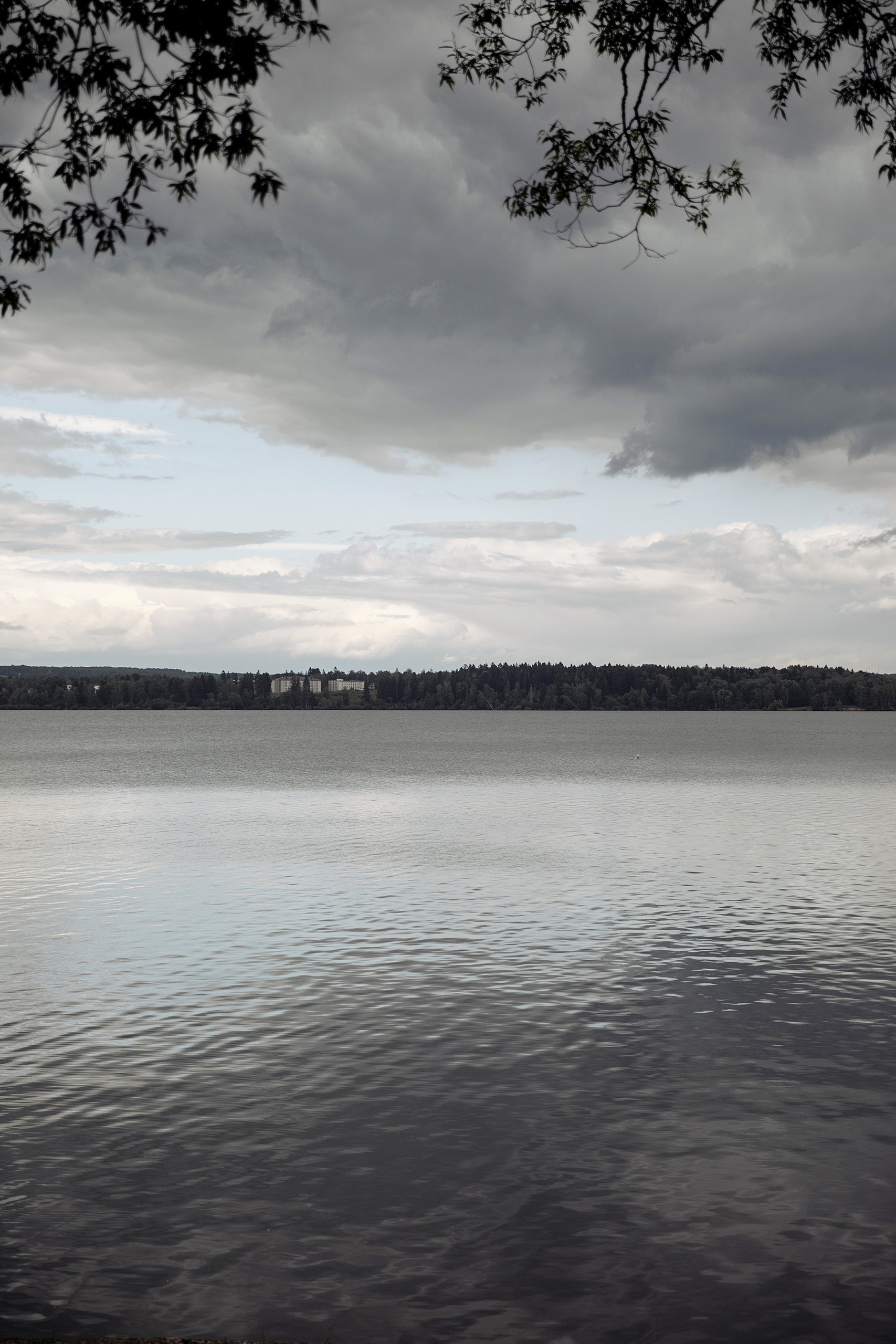 Свадьба Игорей)) Анонс свадьбы Игоря и Яны. Фотограф Игорь Цаплин