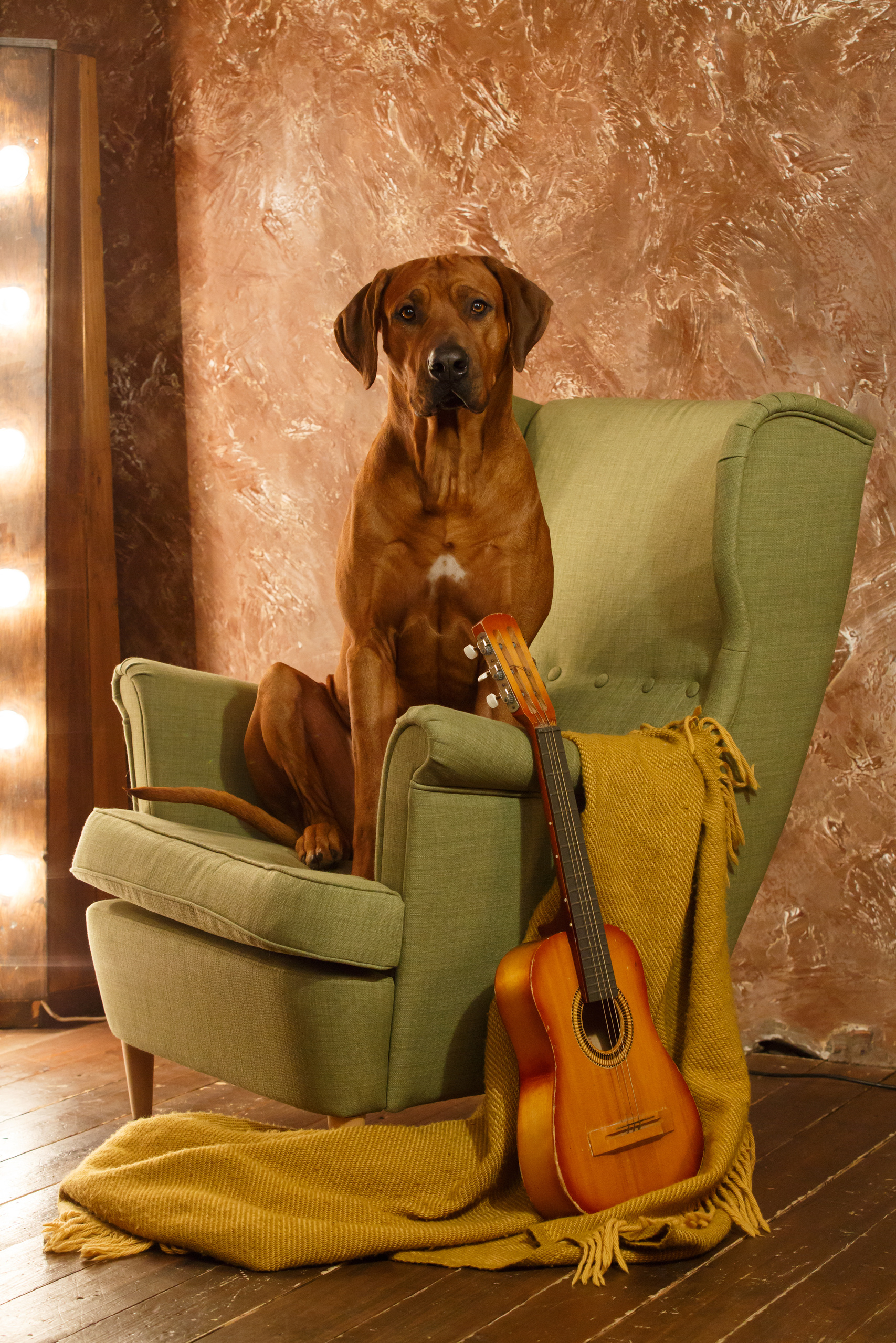 Контакты и социальные сети. Rhodesian ridgeback Adhamas Geni Nala